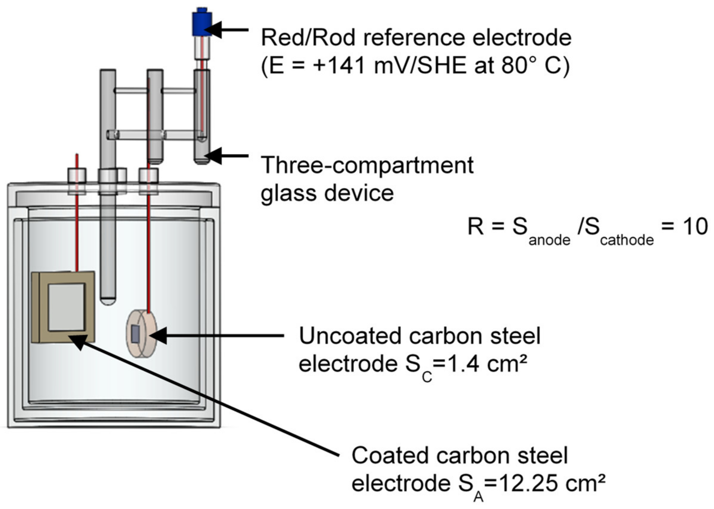 Coatings 12 01044 g001