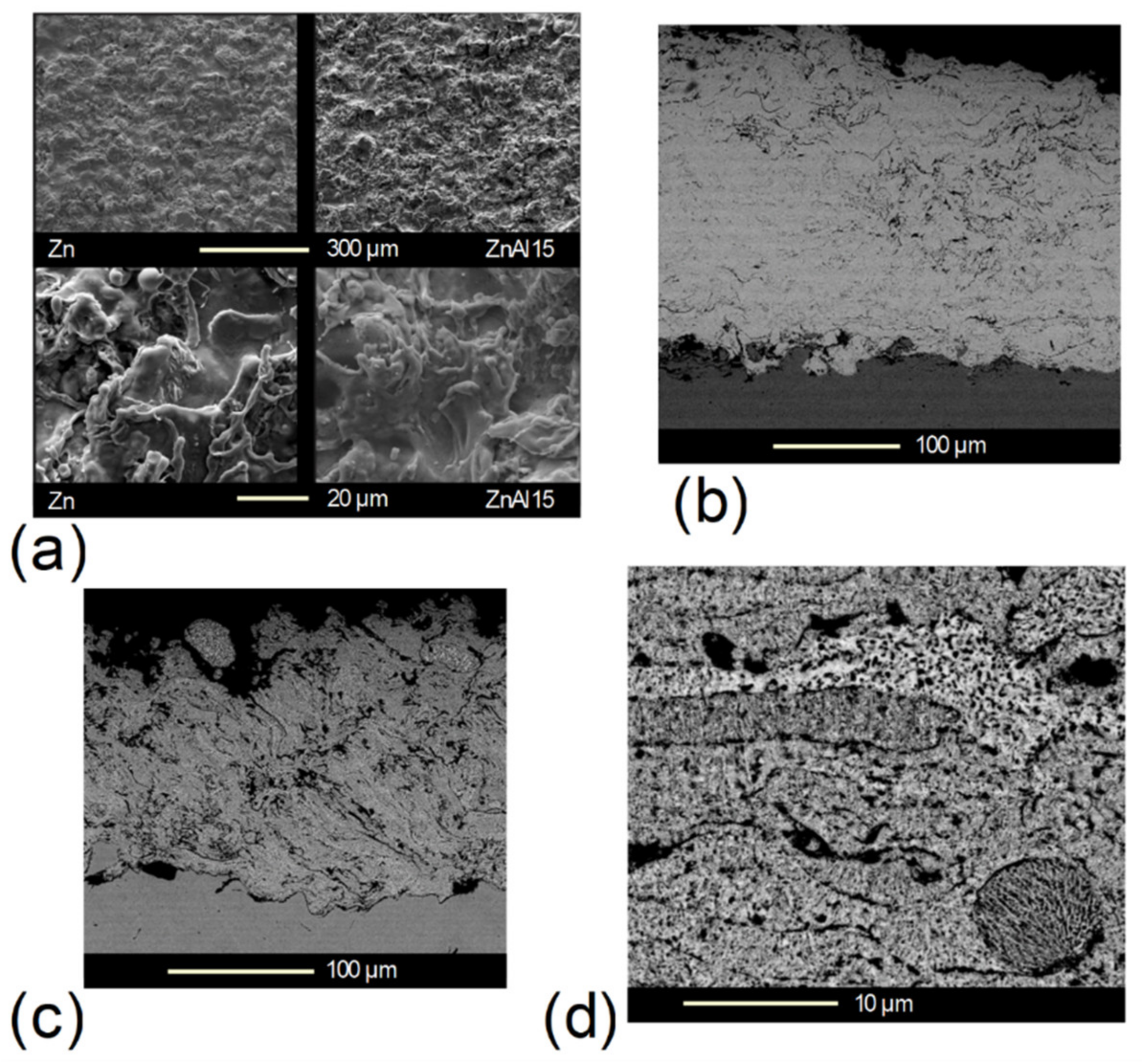 Coatings 12 01044 g002