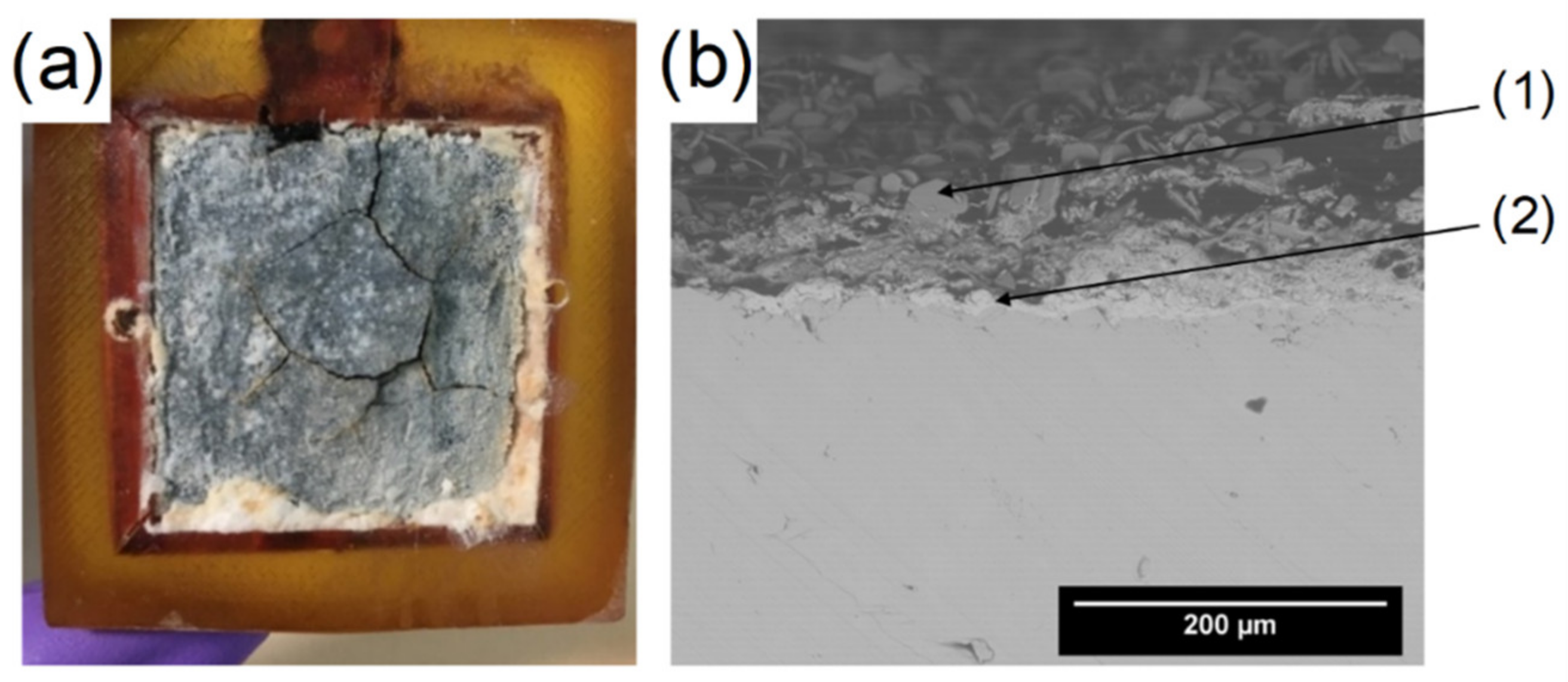 Coatings 12 01044 g008