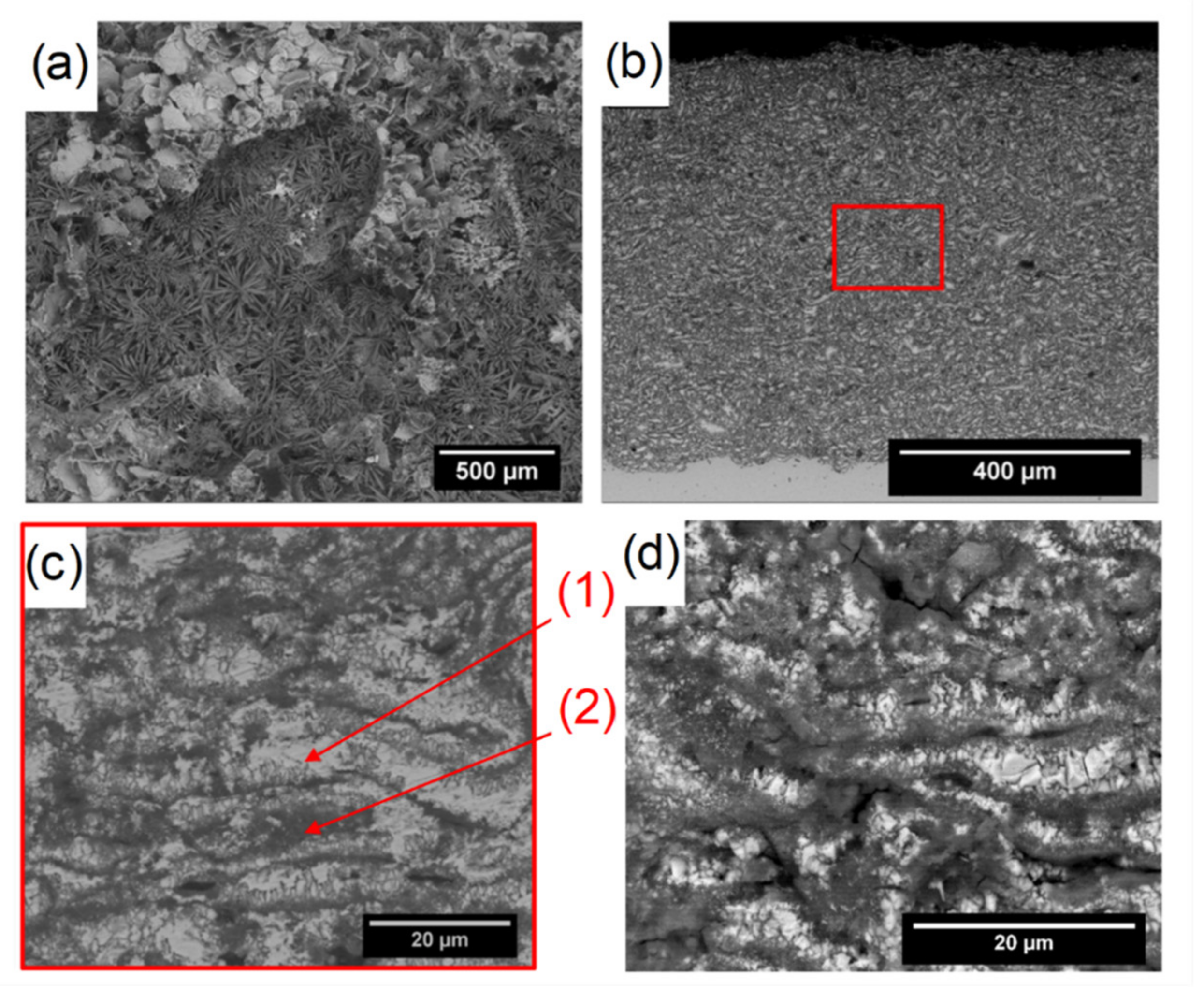 Coatings 12 01044 g012