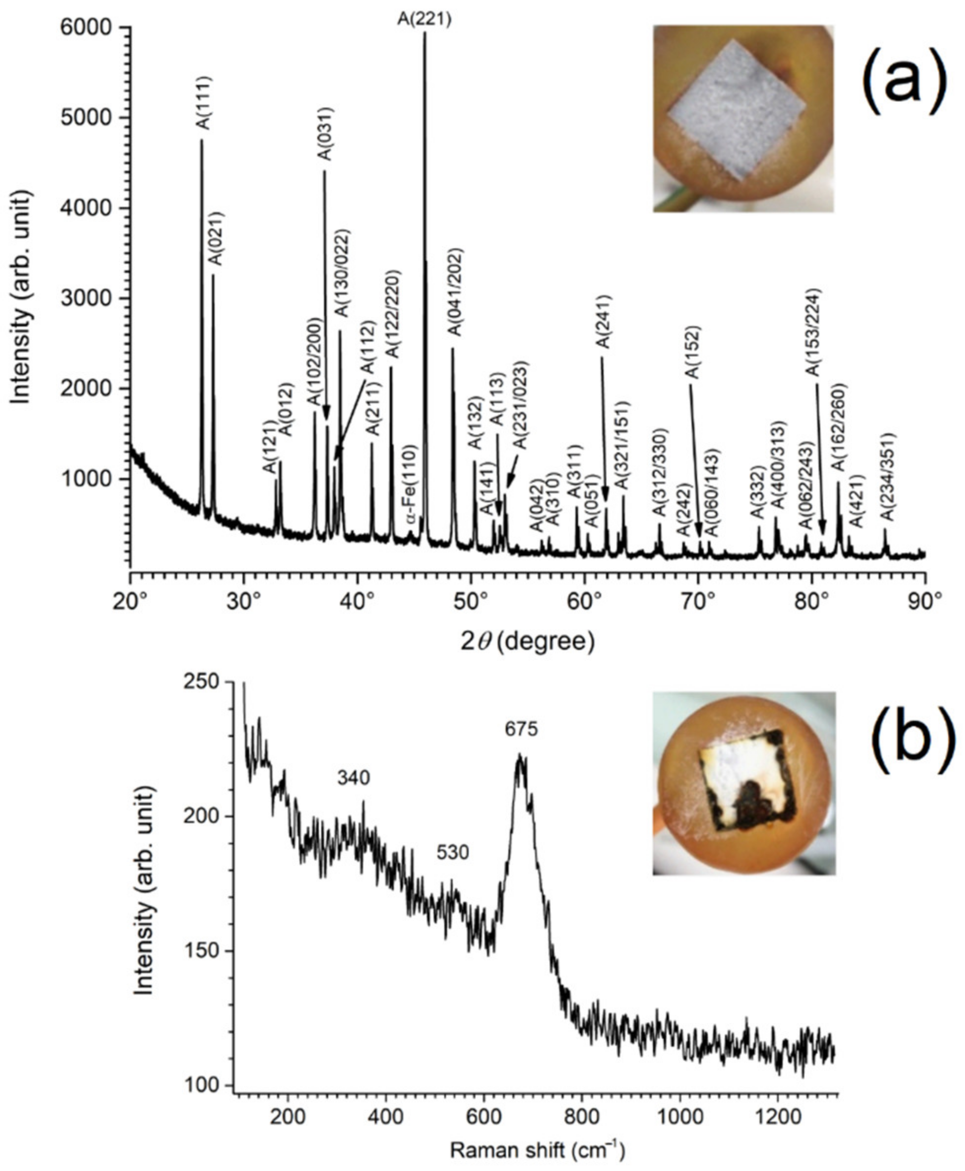 Coatings 12 01044 g013