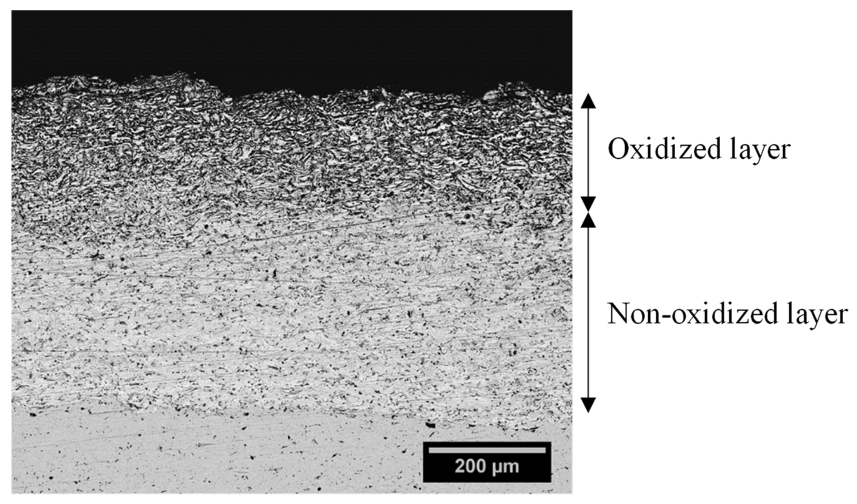 Coatings 12 01044 g014