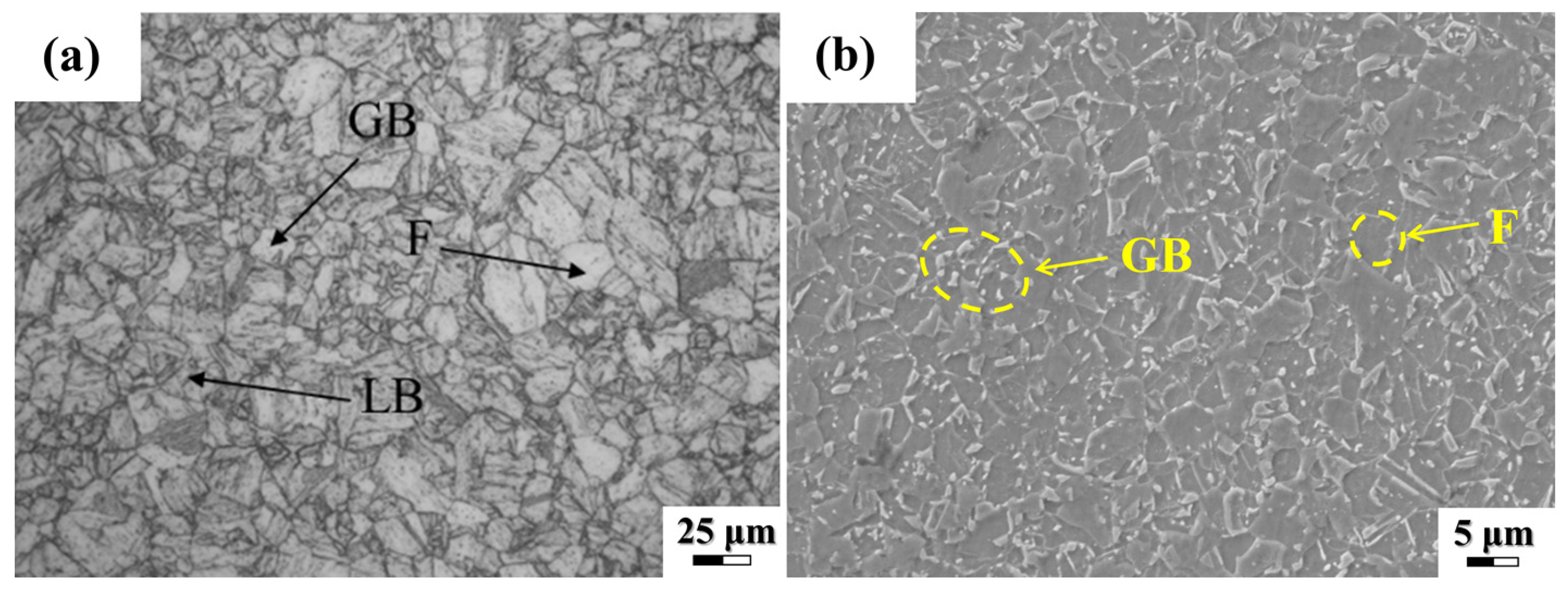 Coatings 12 01045 g001