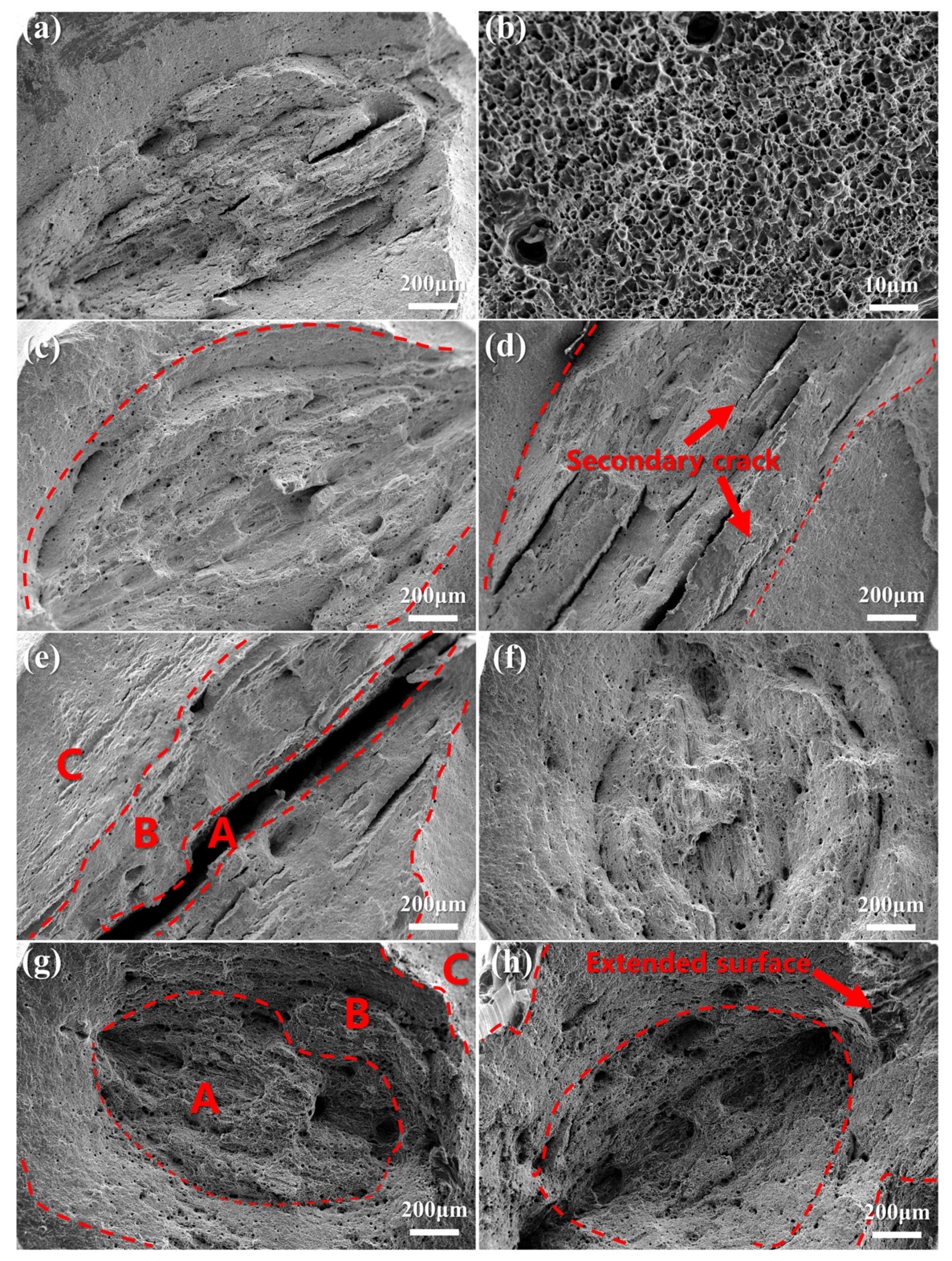 Coatings 12 01045 g010