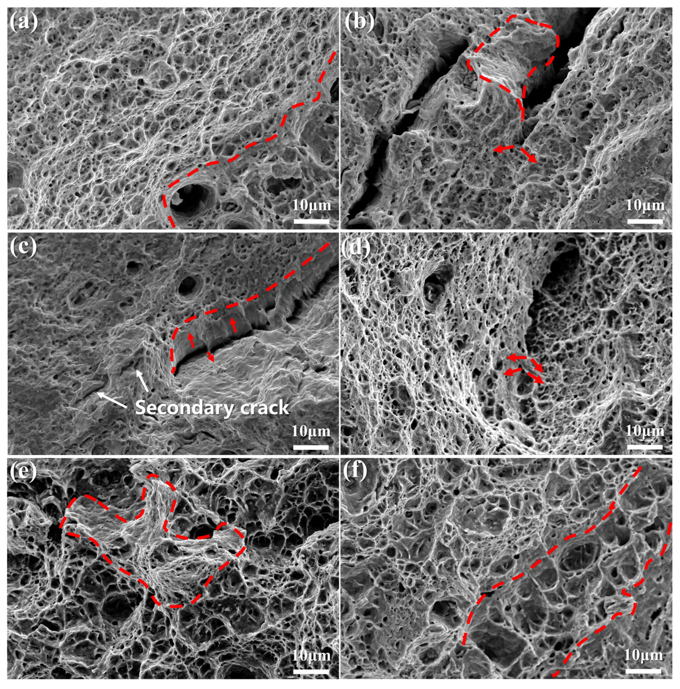 Coatings 12 01045 g011