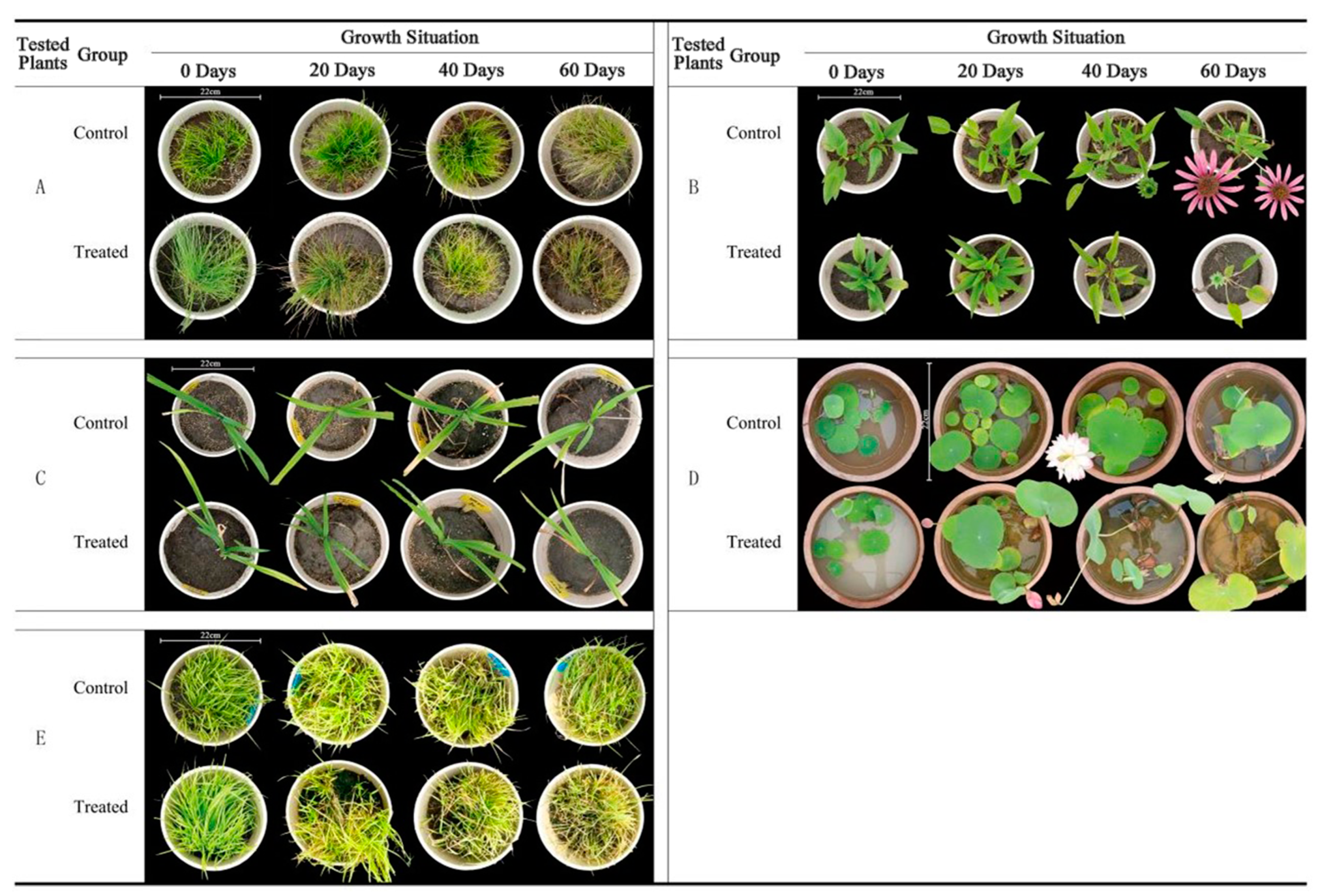Coatings 12 01054 g001