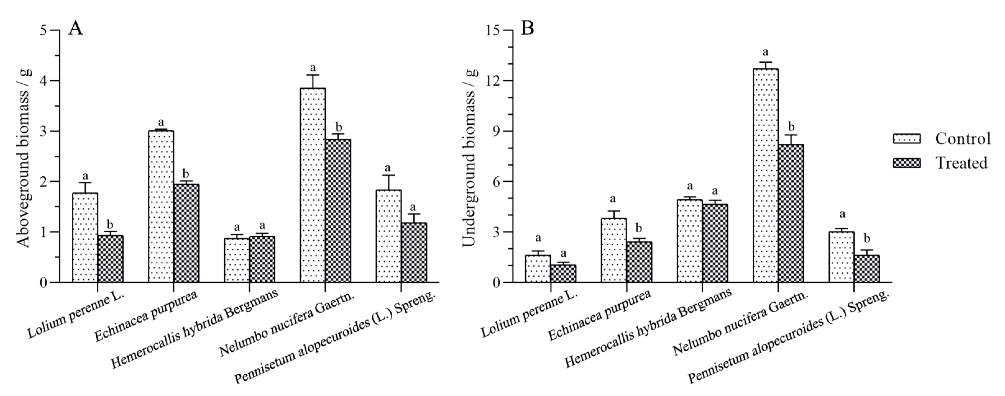 Coatings 12 01054 g003