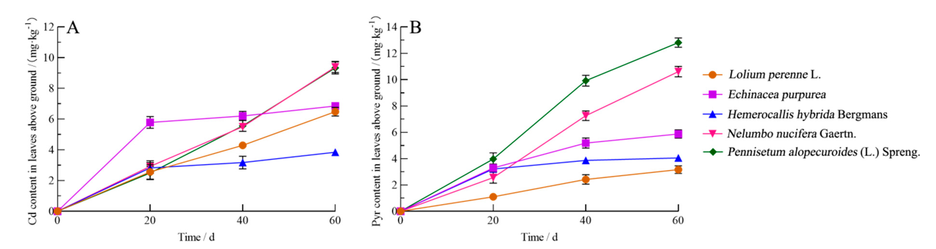 Coatings 12 01054 g004
