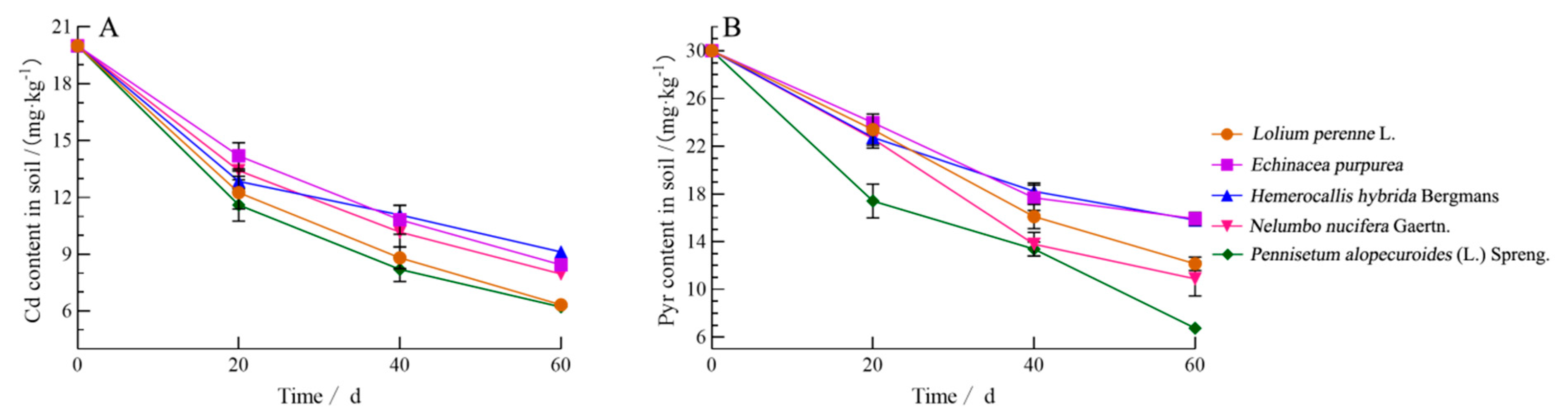 Coatings 12 01054 g005