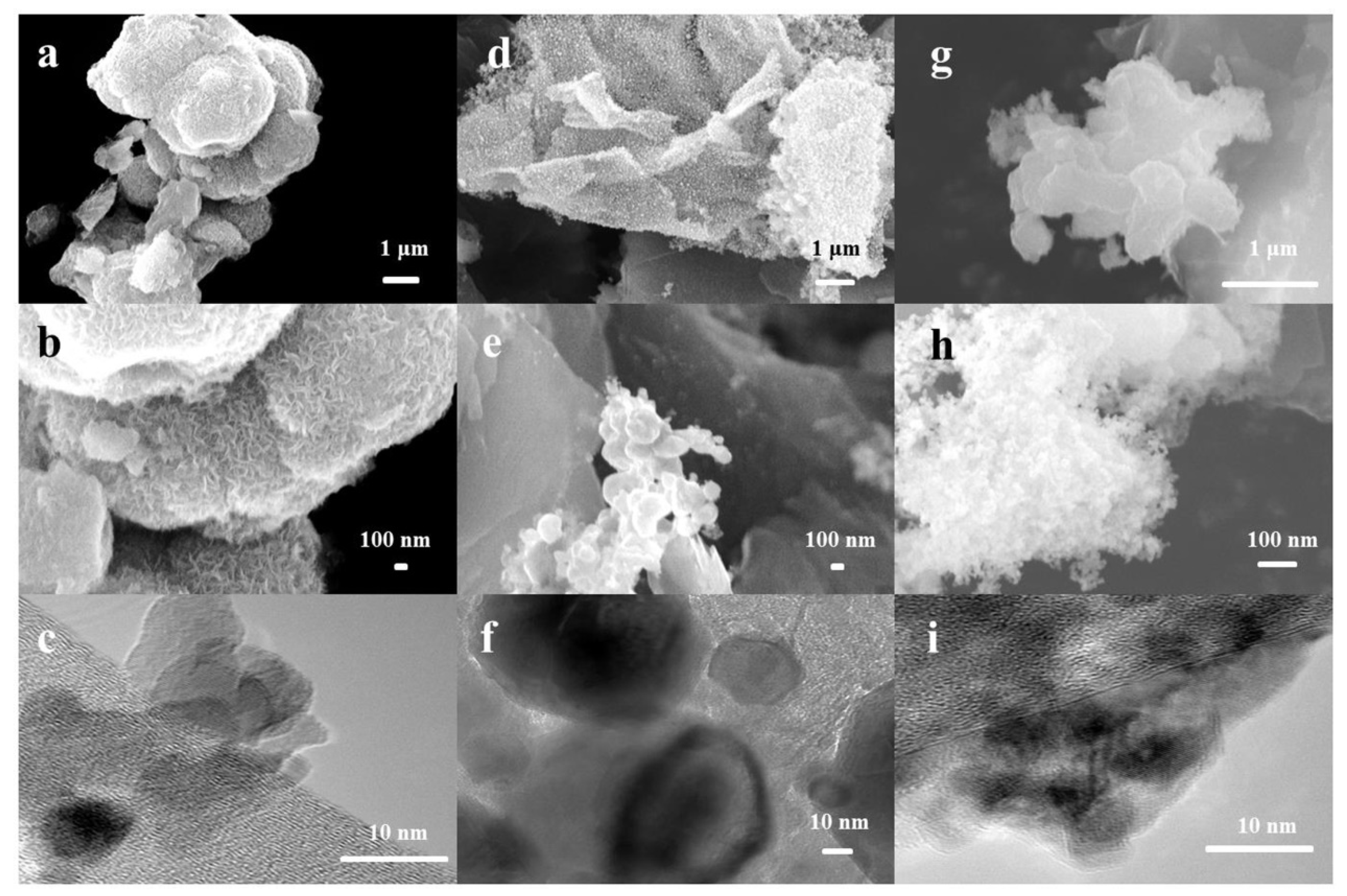 Coatings 12 01060 g002