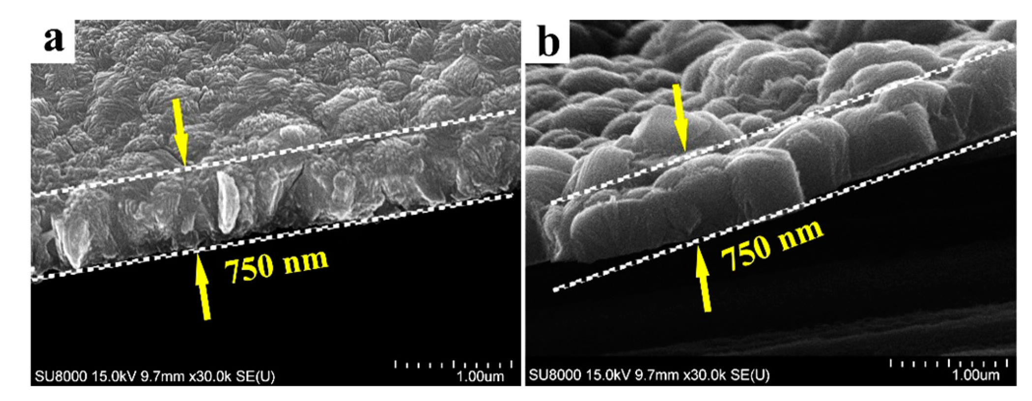 Coatings 12 01063 g004