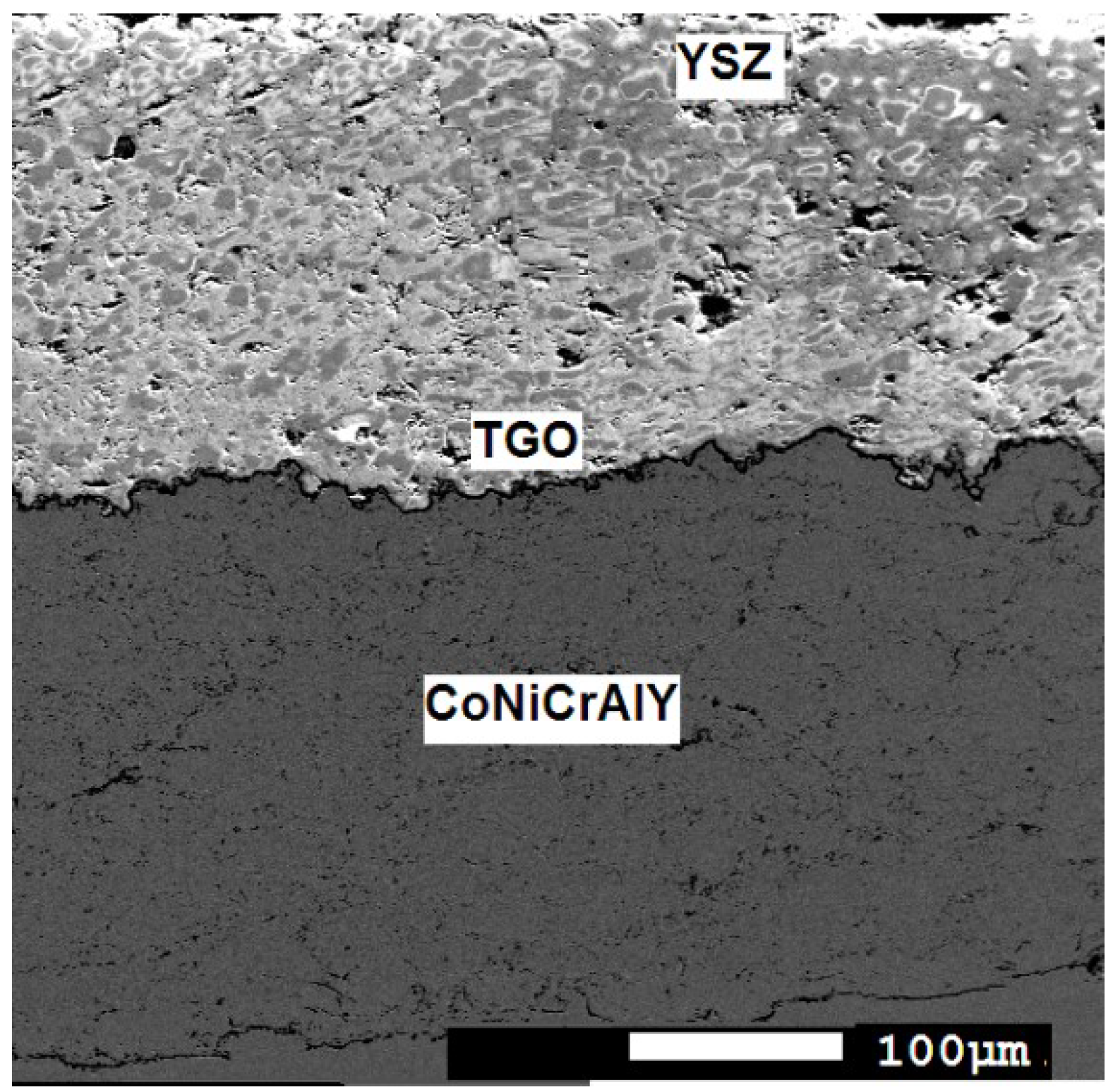 Coatings 12 01068 g001 Coatings 12 01068 g001