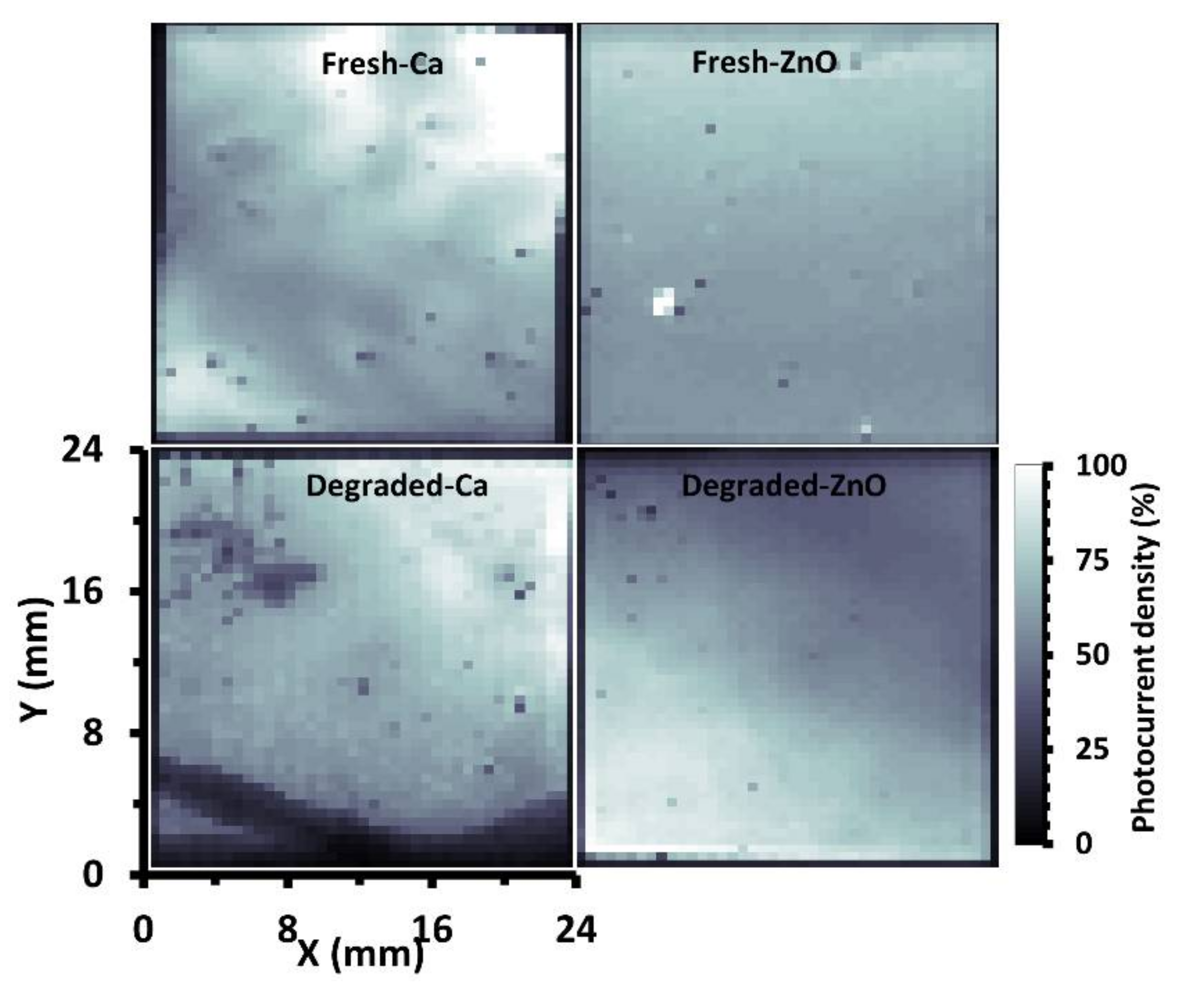 Coatings 12 01071 g004