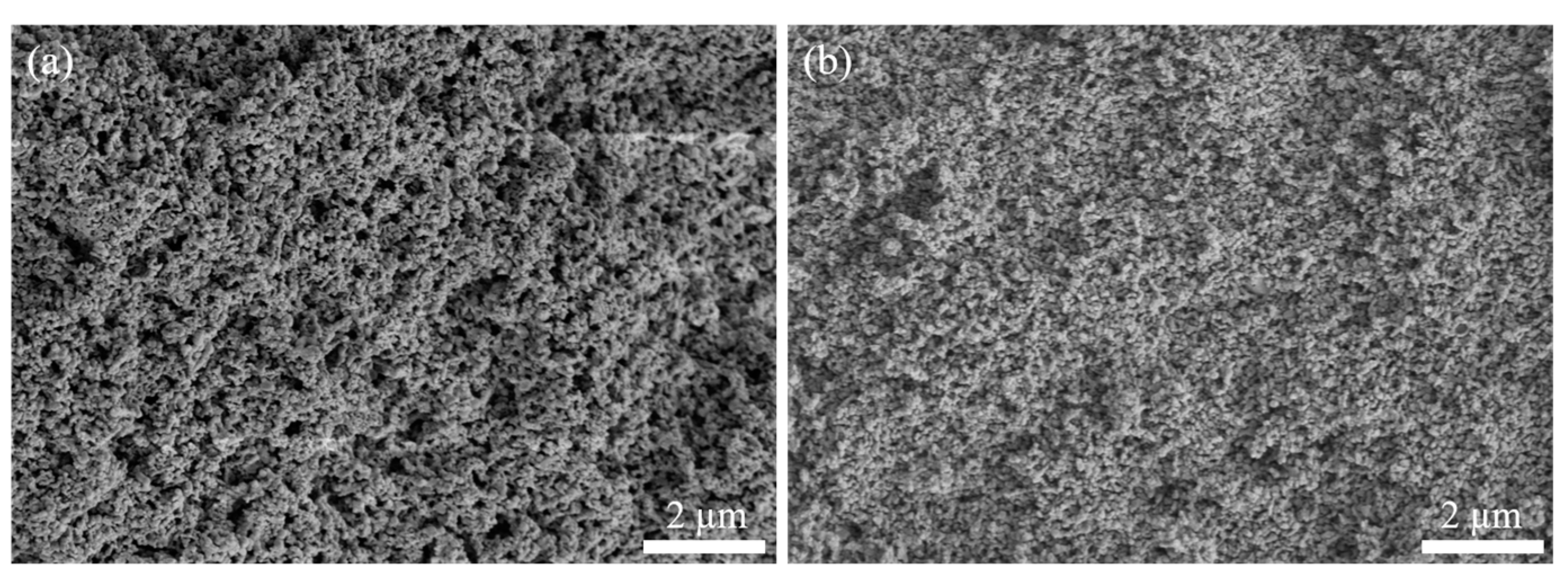Coatings 12 01077 g006