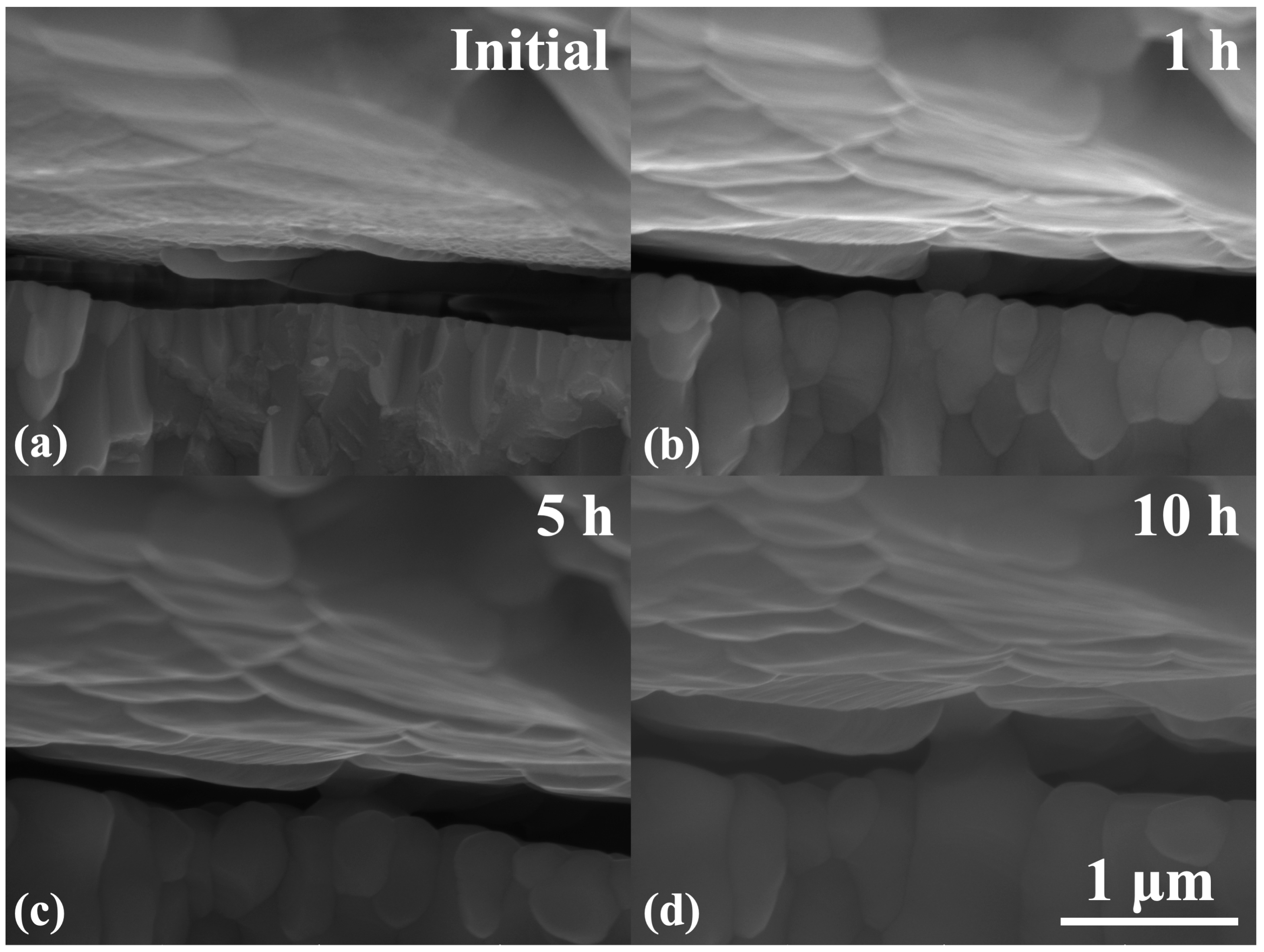 Coatings 12 01083 g007