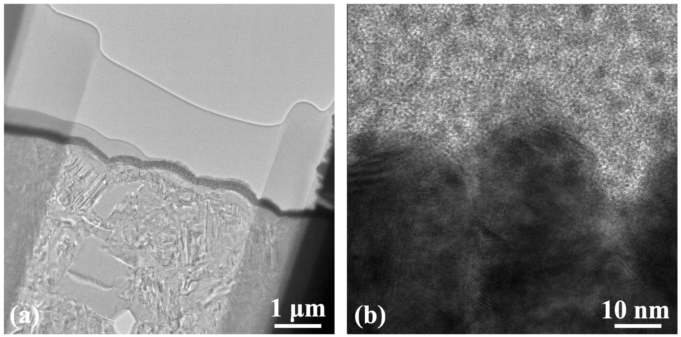 Coatings 12 01083 g009