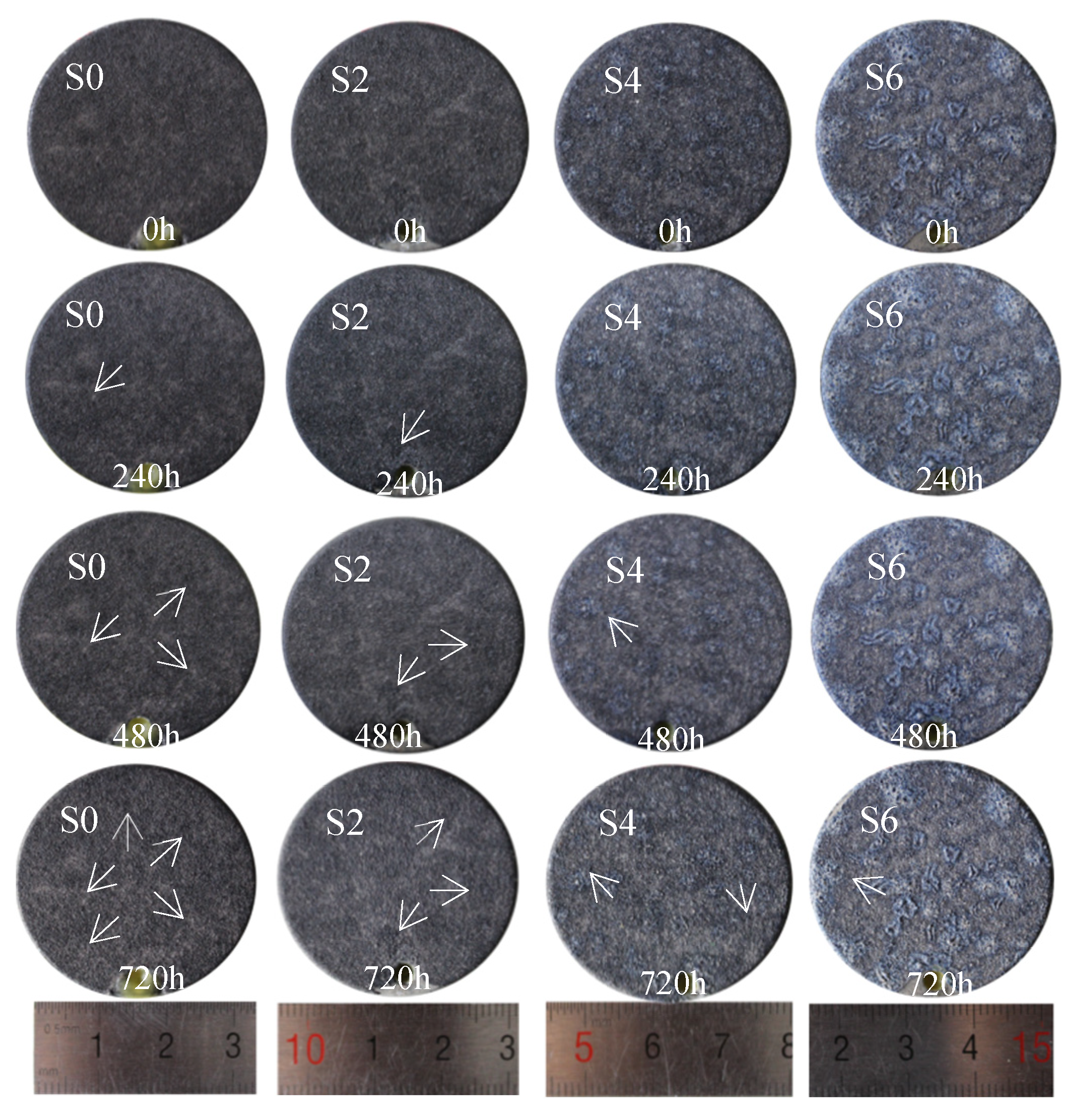 Coatings 12 01093 g011