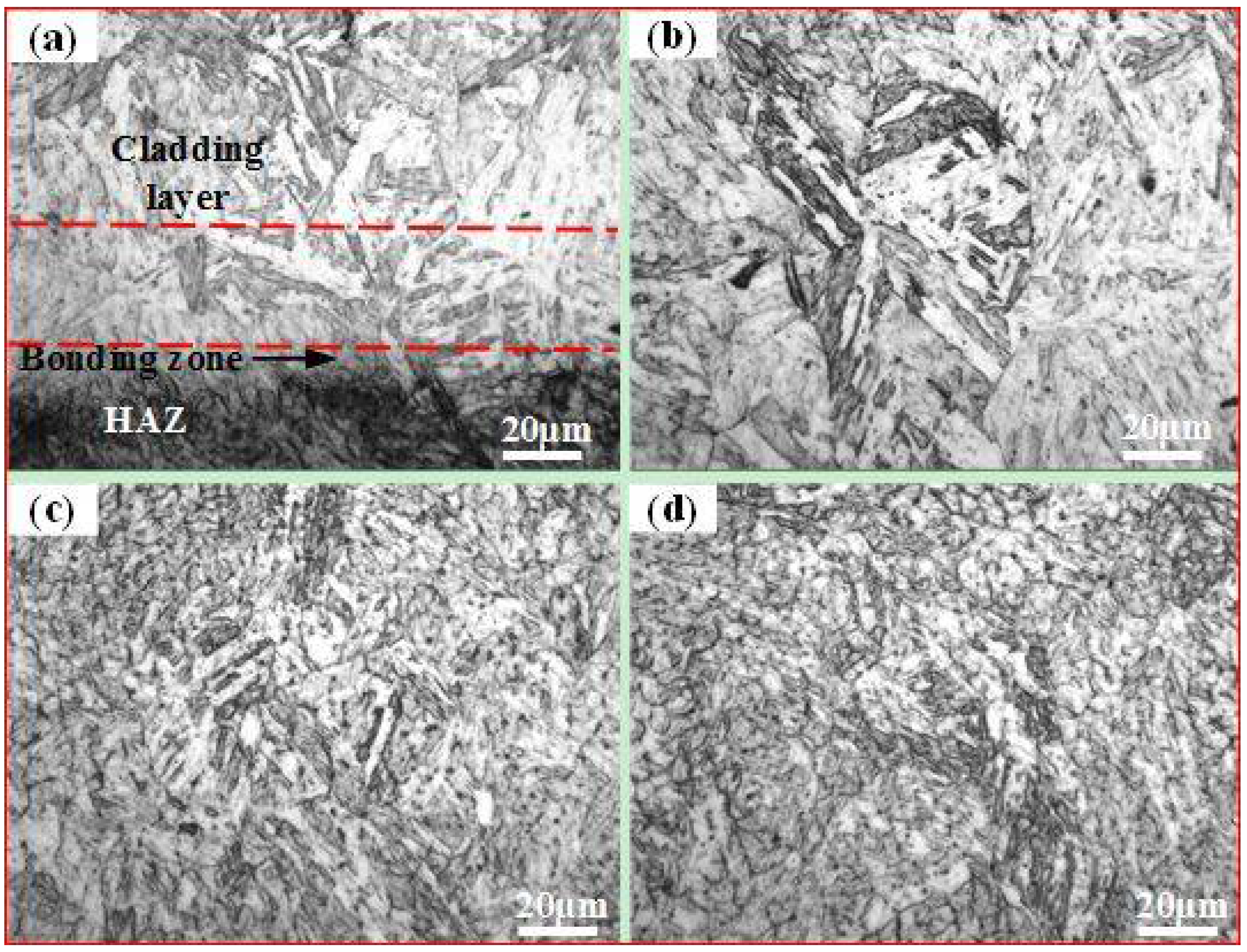 Coatings 12 01106 g004