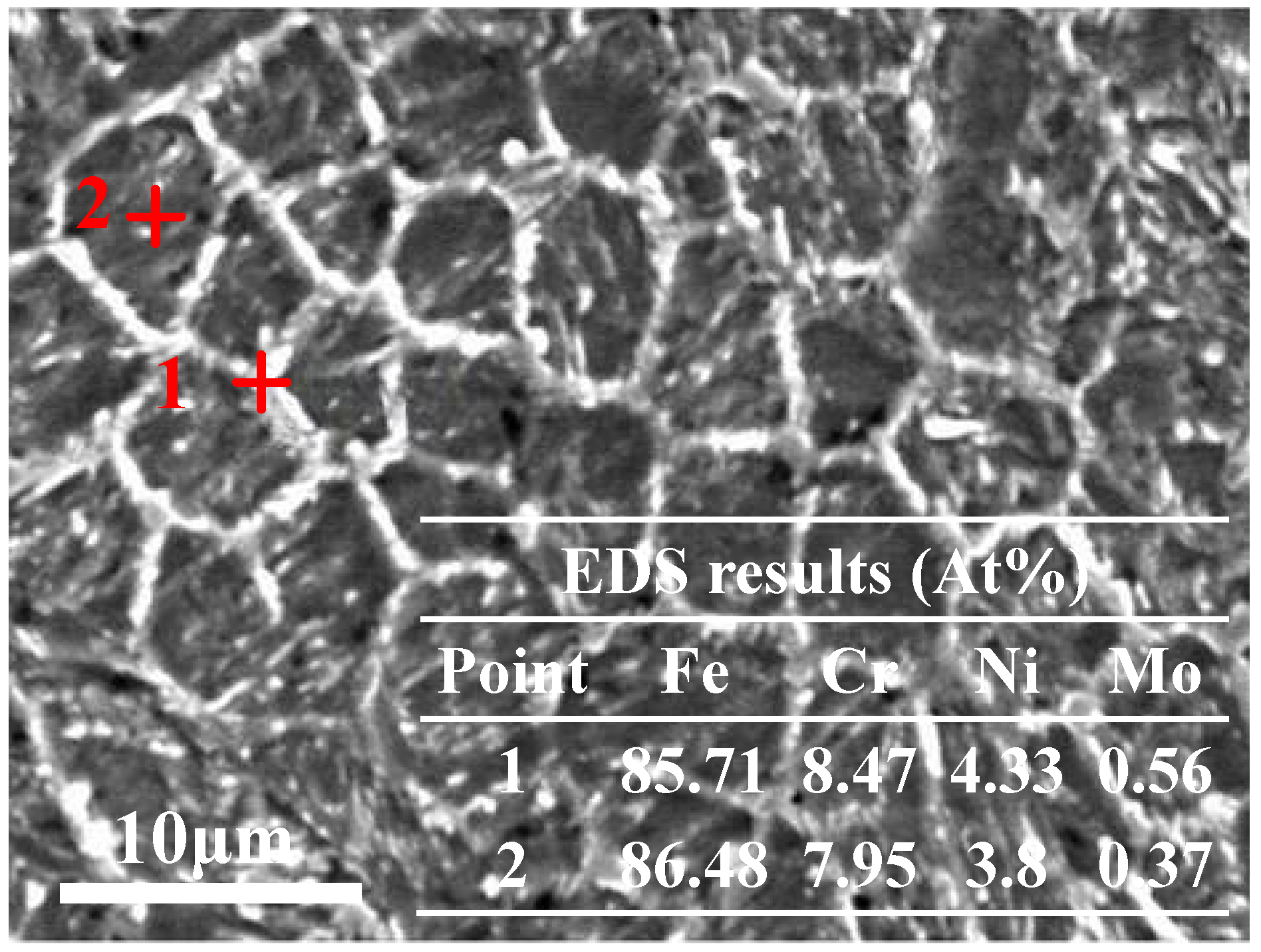 Coatings 12 01106 g005