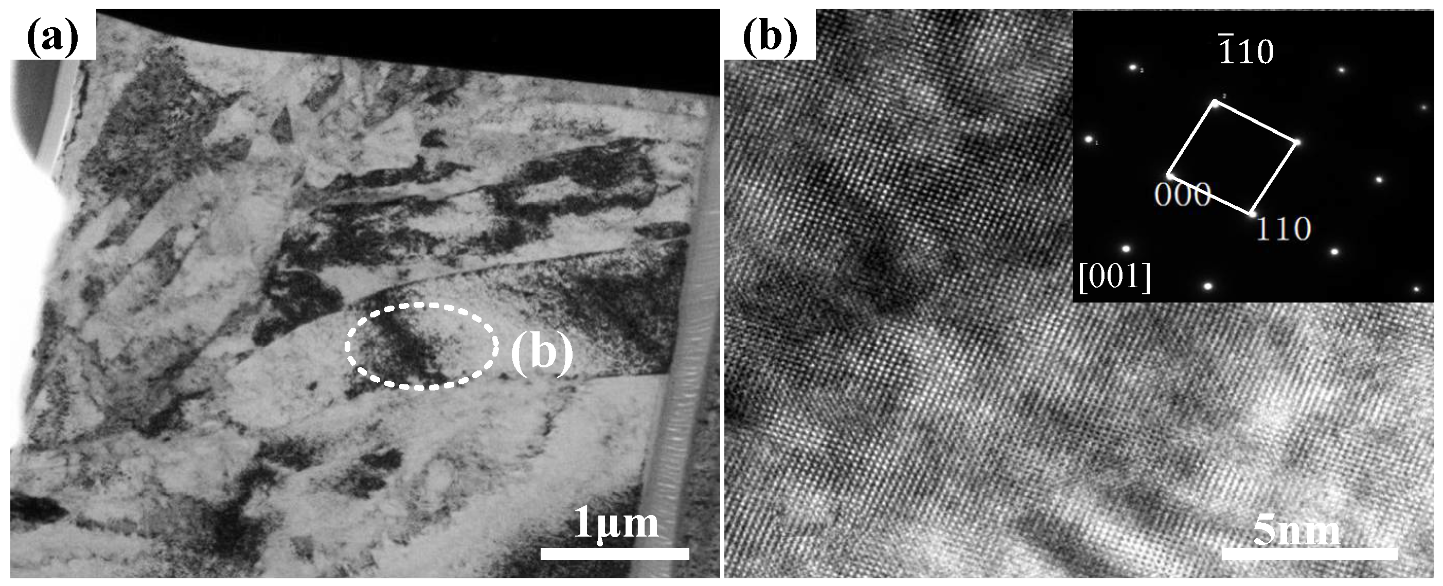 Coatings 12 01106 g008