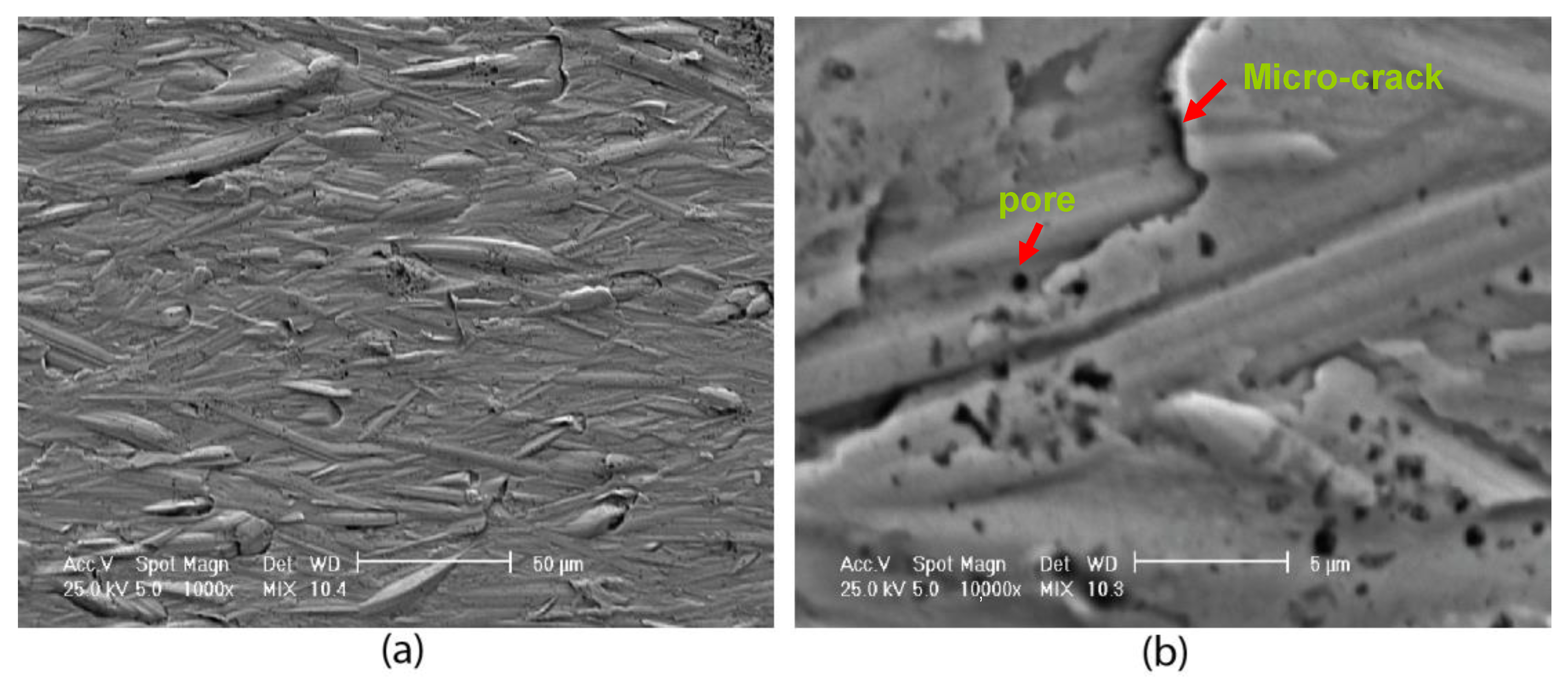 Coatings 12 01108 g010