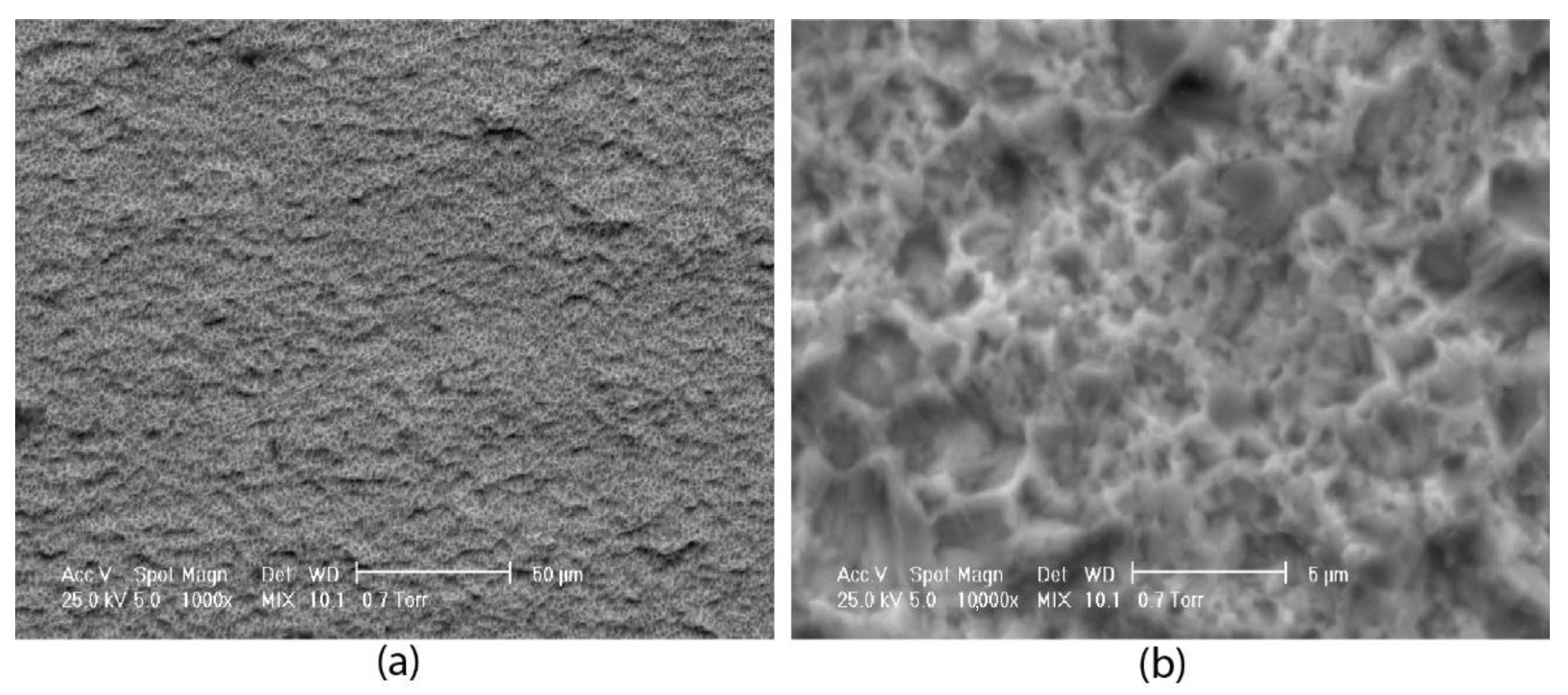 Coatings 12 01108 g013