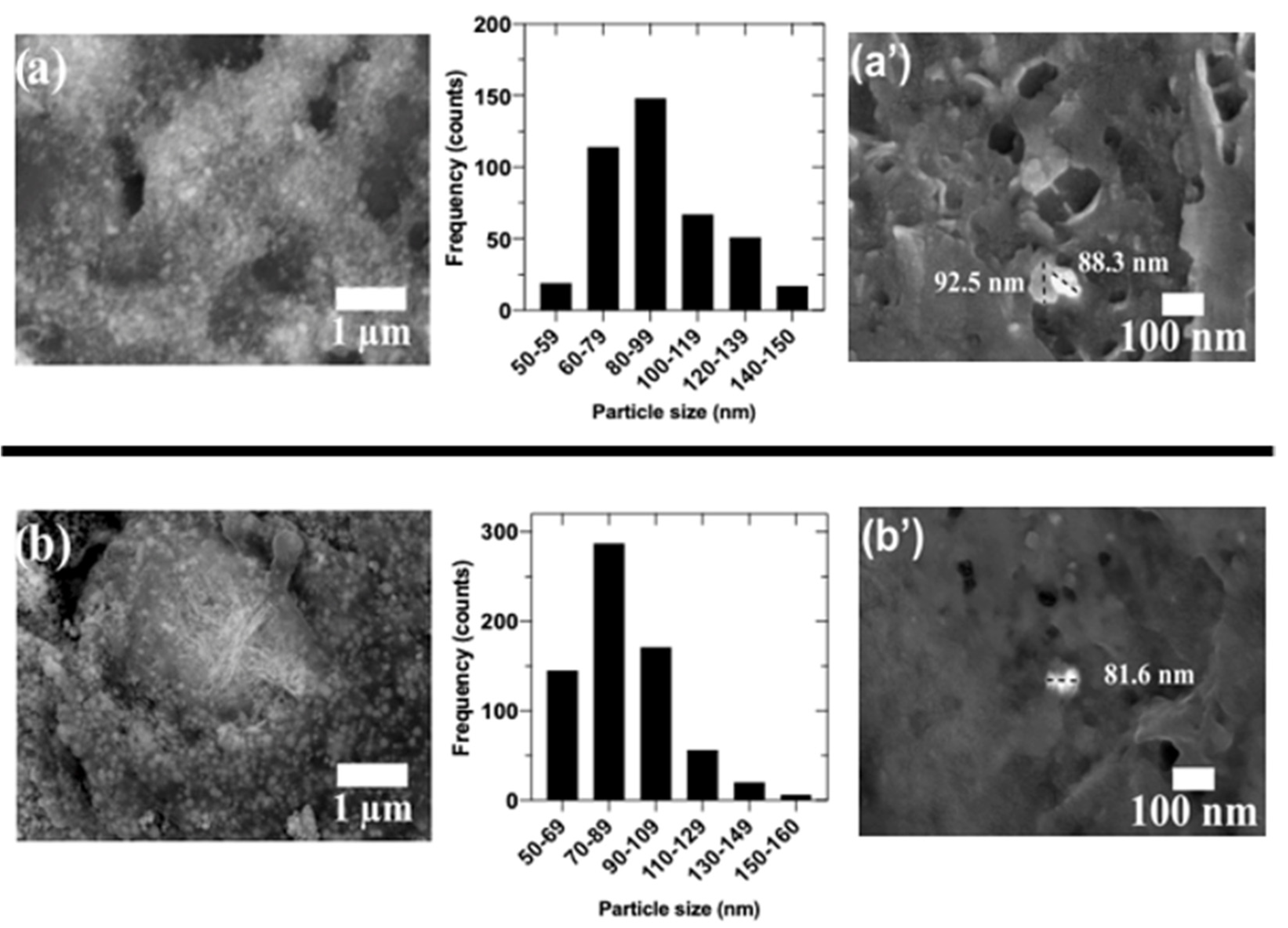 Coatings 12 01109 g005