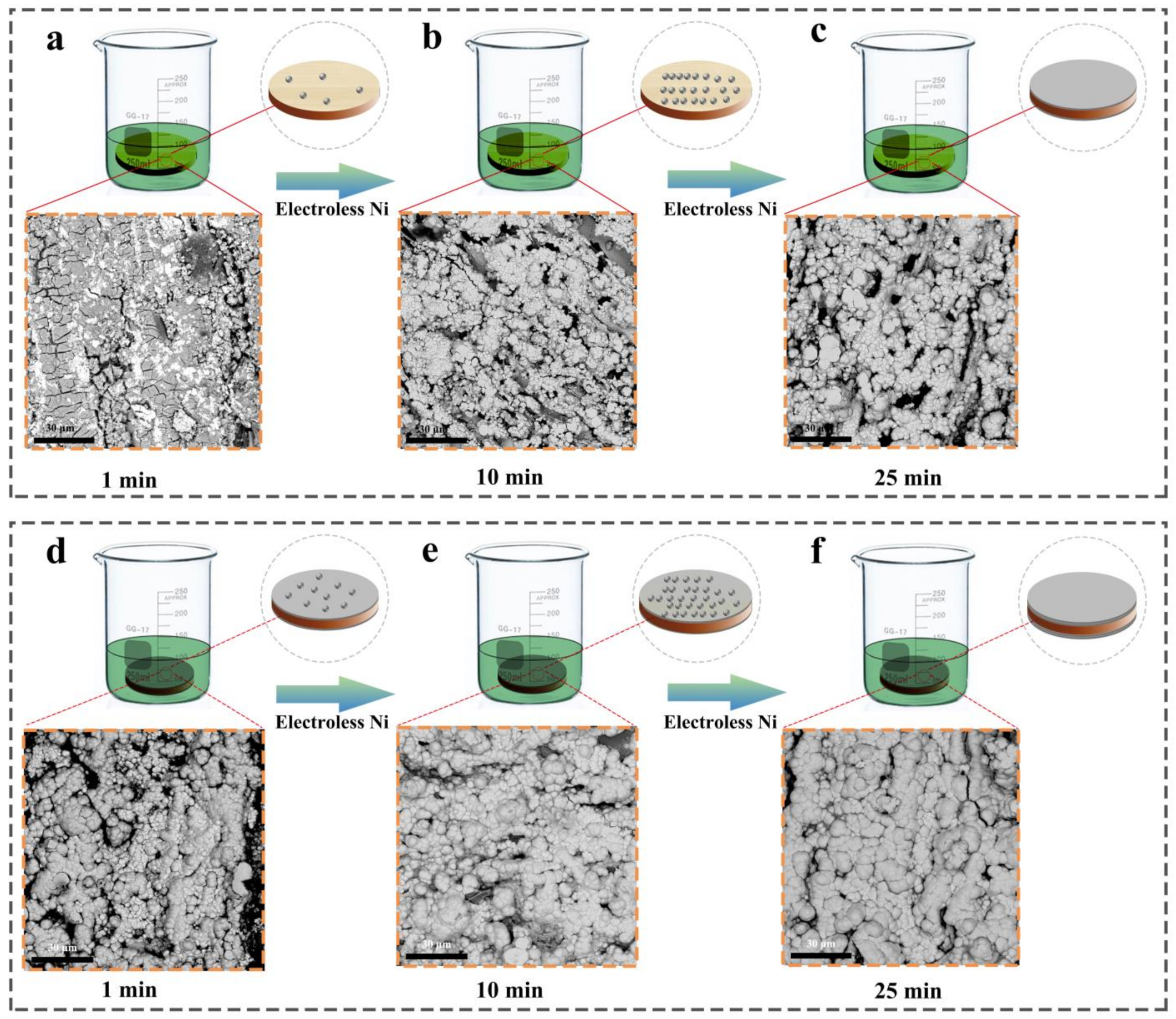 Coatings 12 01117 g001a