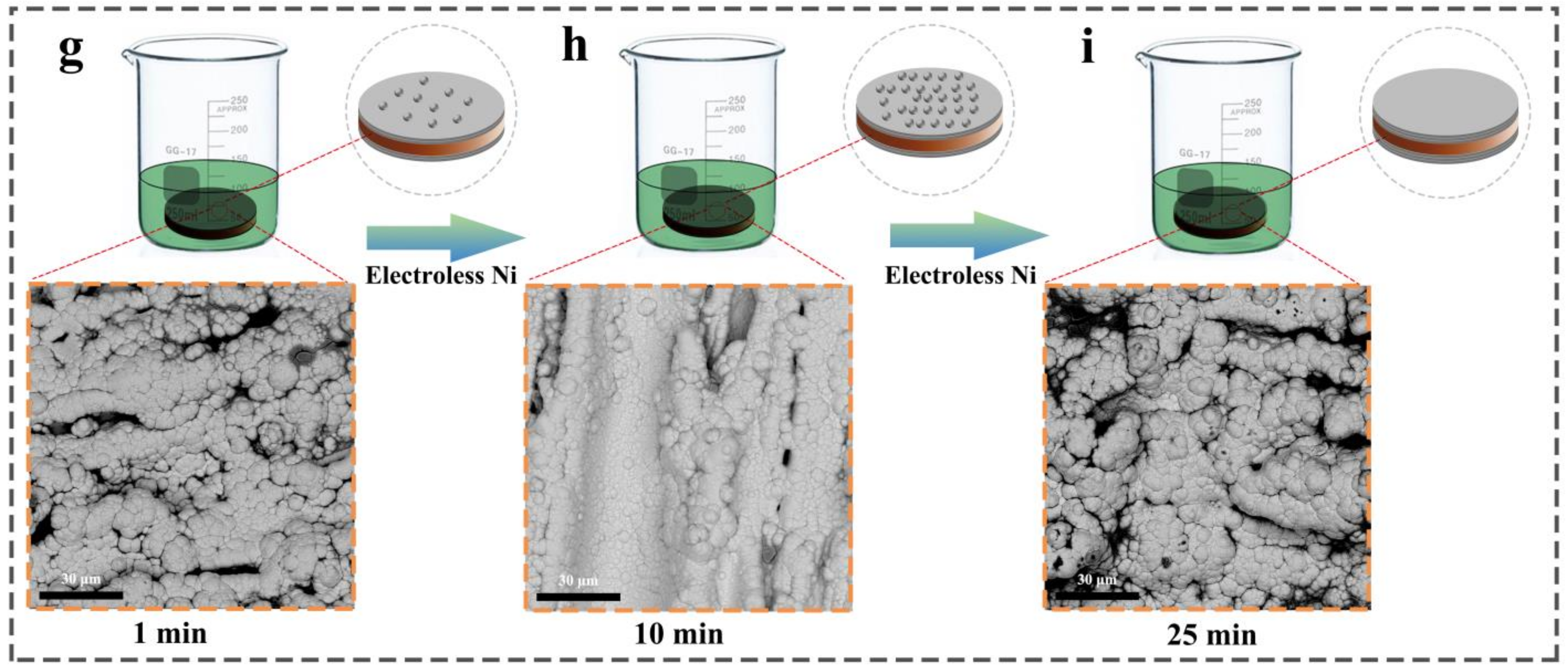 Coatings 12 01117 g001b