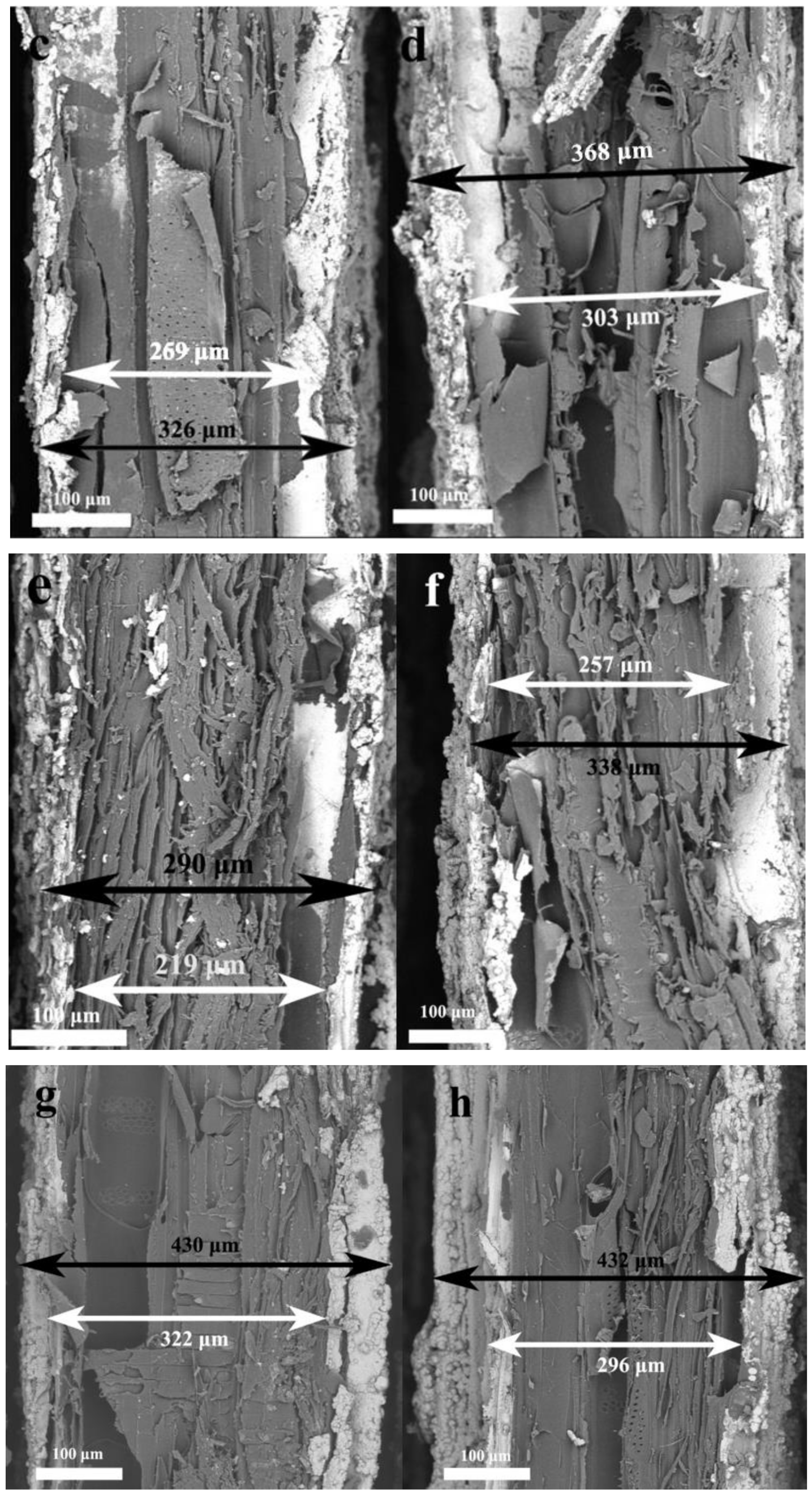 Coatings 12 01117 g004b