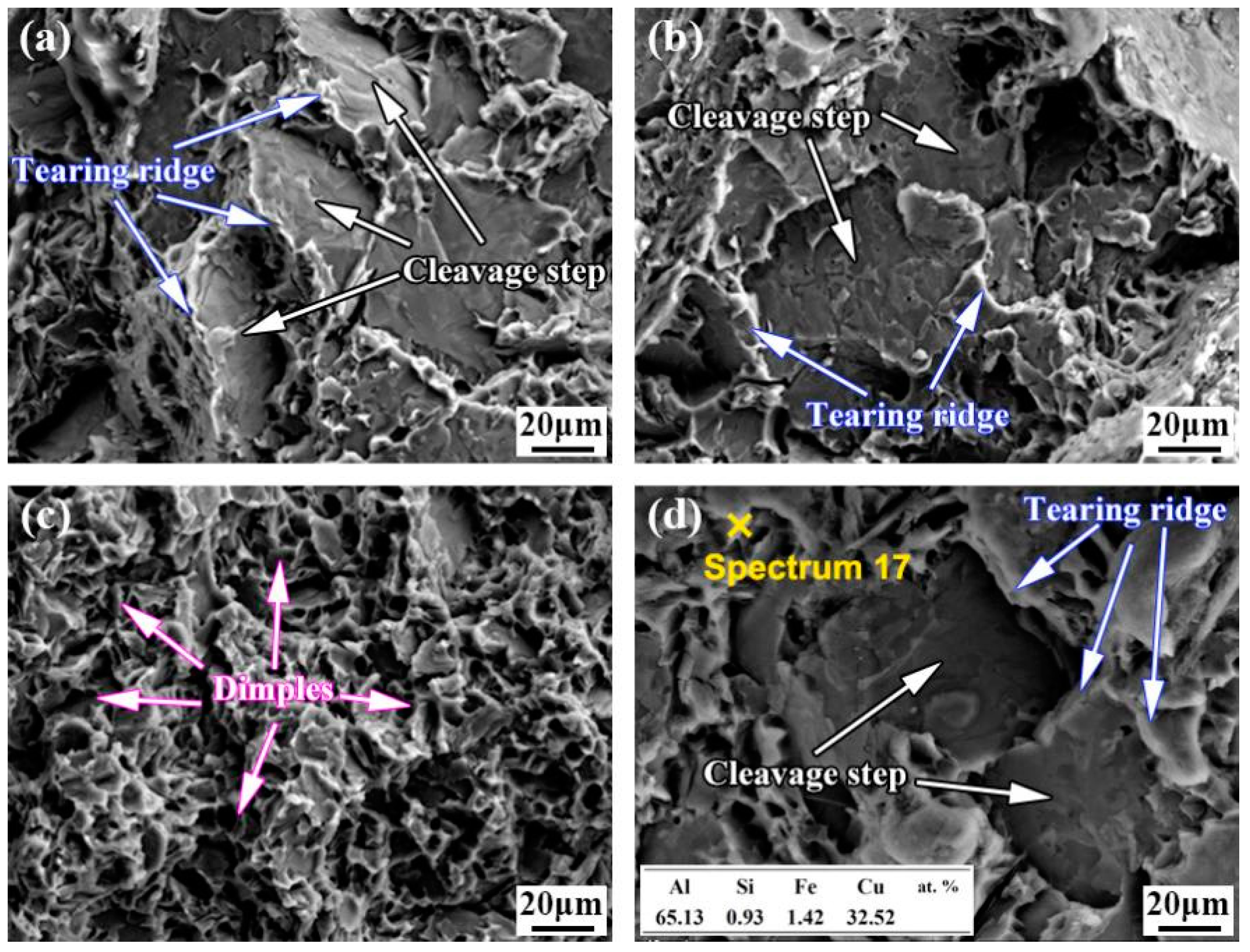 Coatings 12 01123 g008