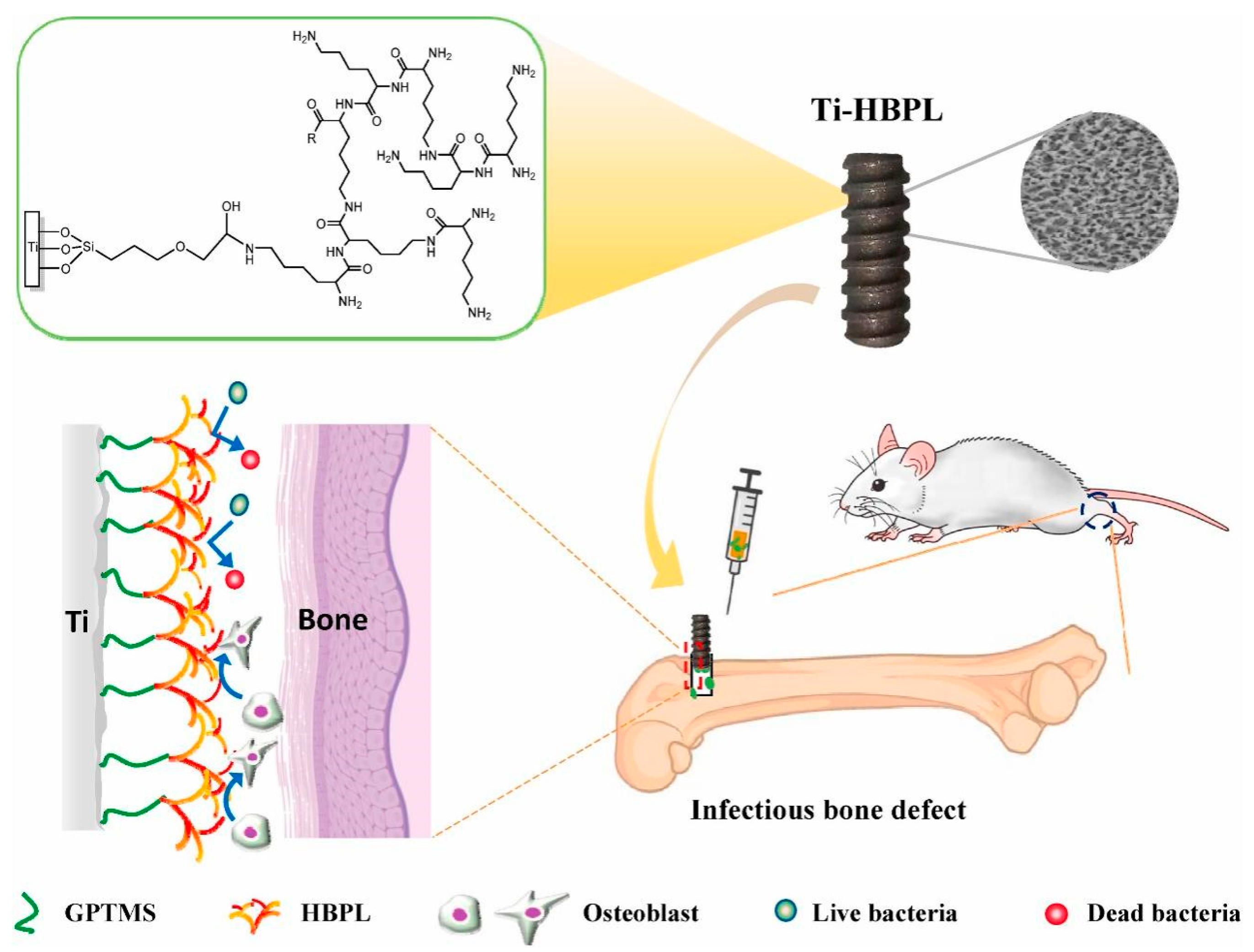 Coatings 12 01125 g004