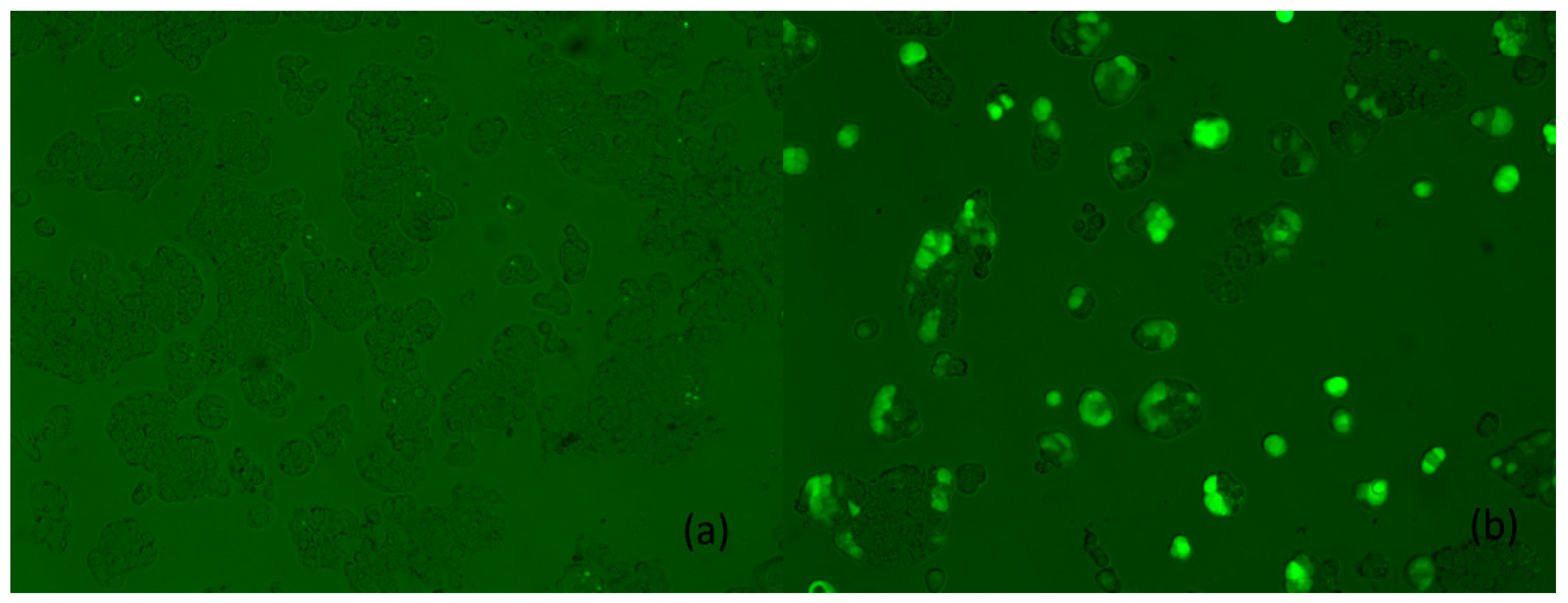 Coatings 12 01130 g008a