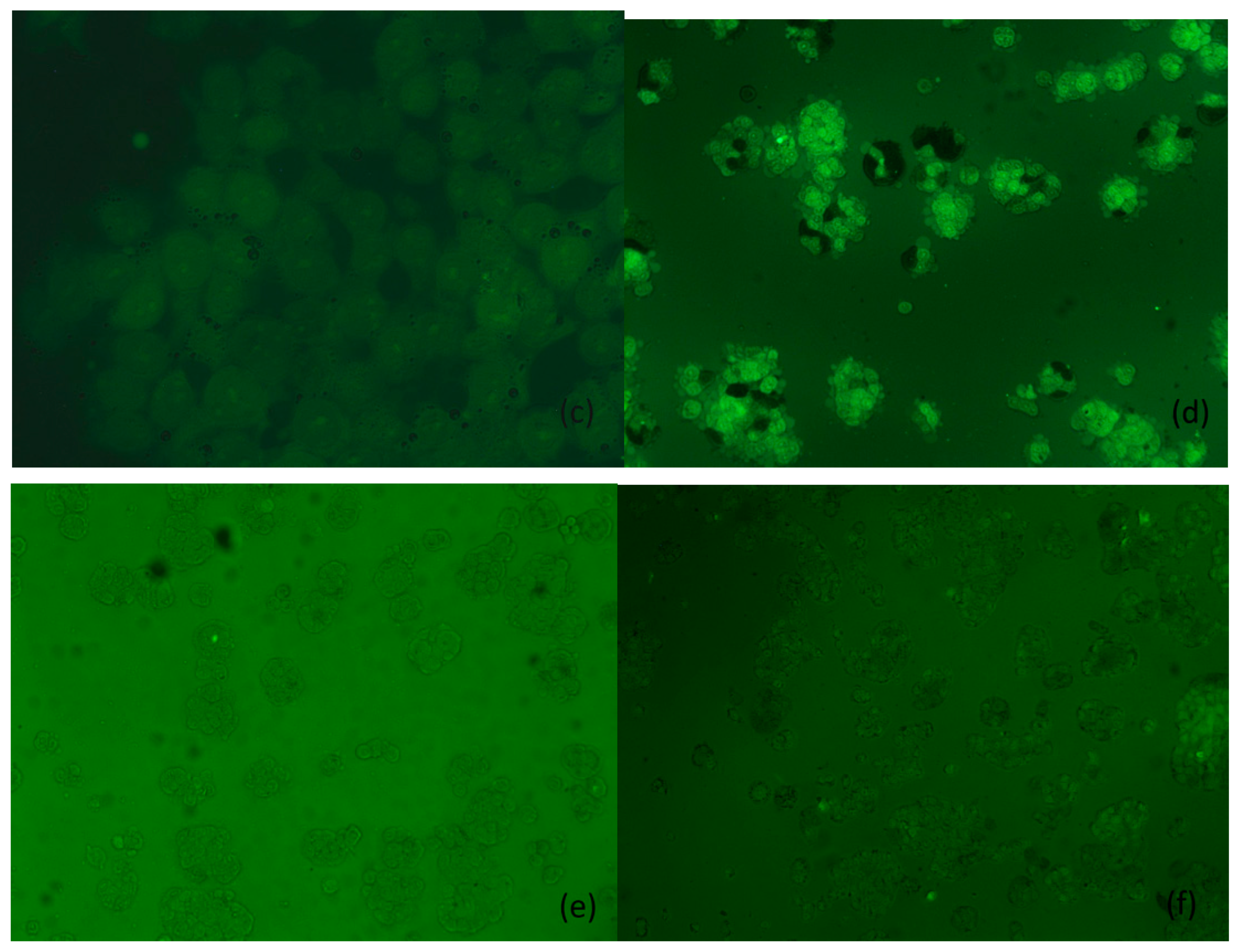 Coatings 12 01130 g008b