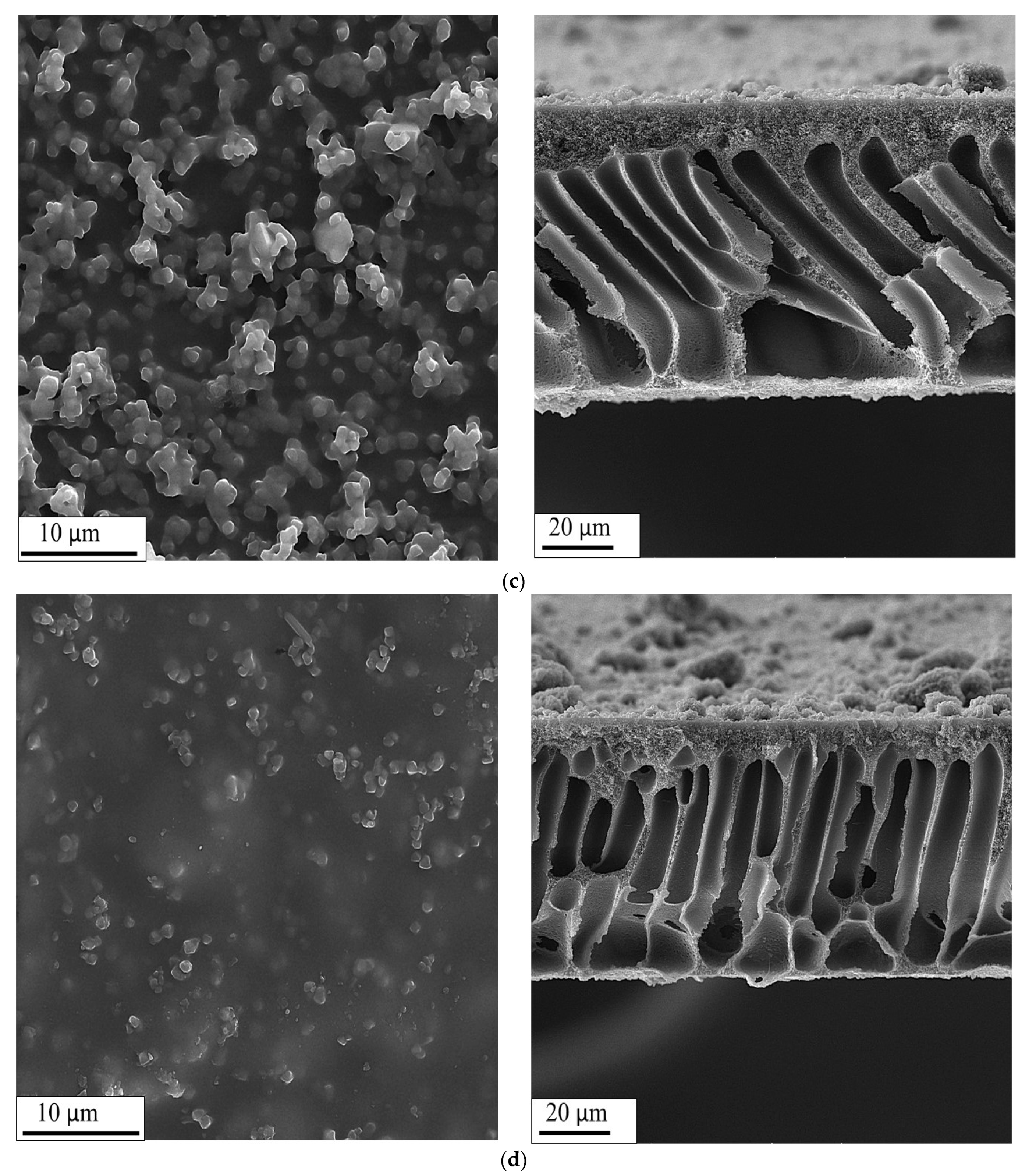Coatings 12 01148 g004b