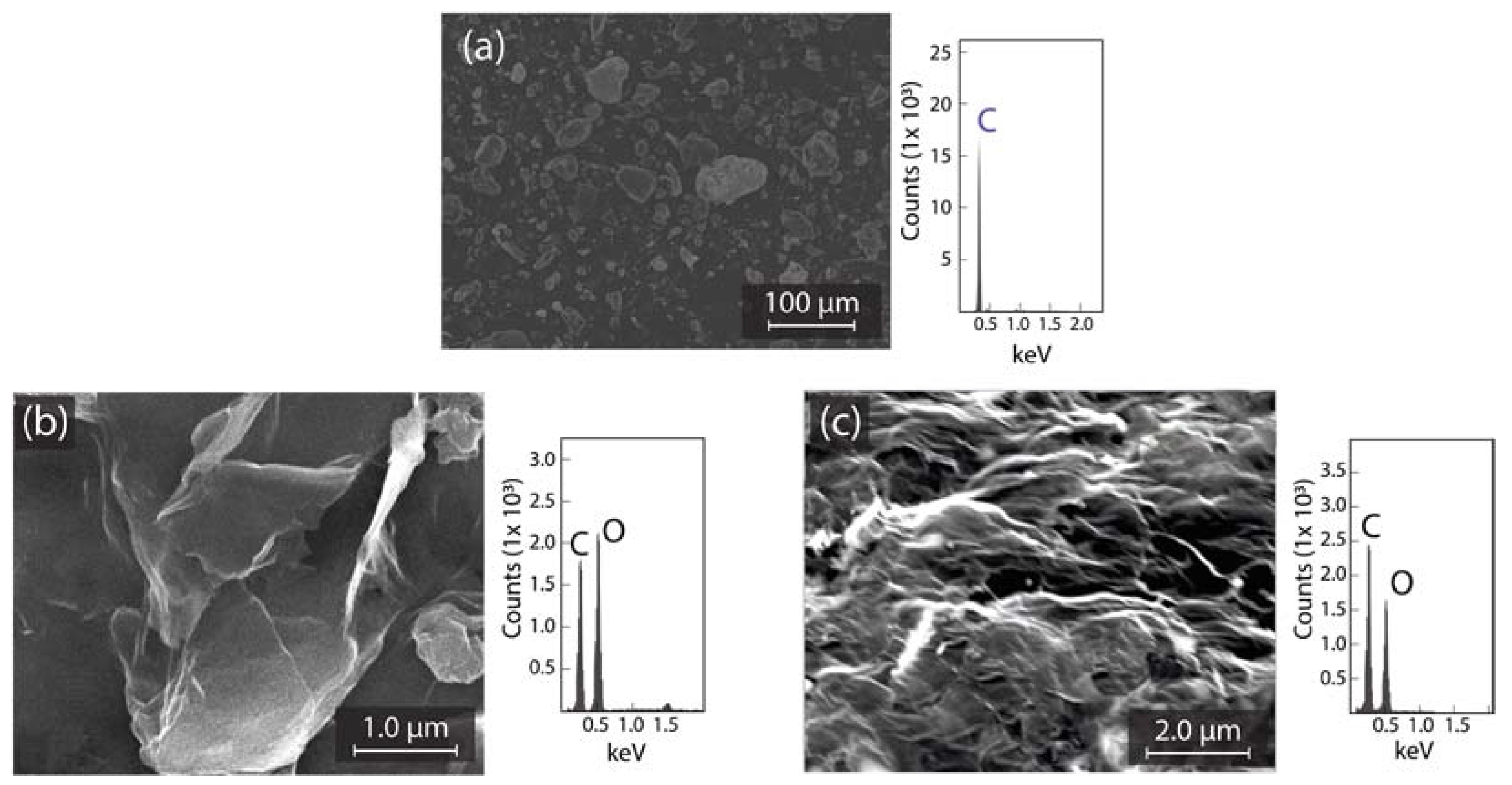 Coatings 12 01154 g001
