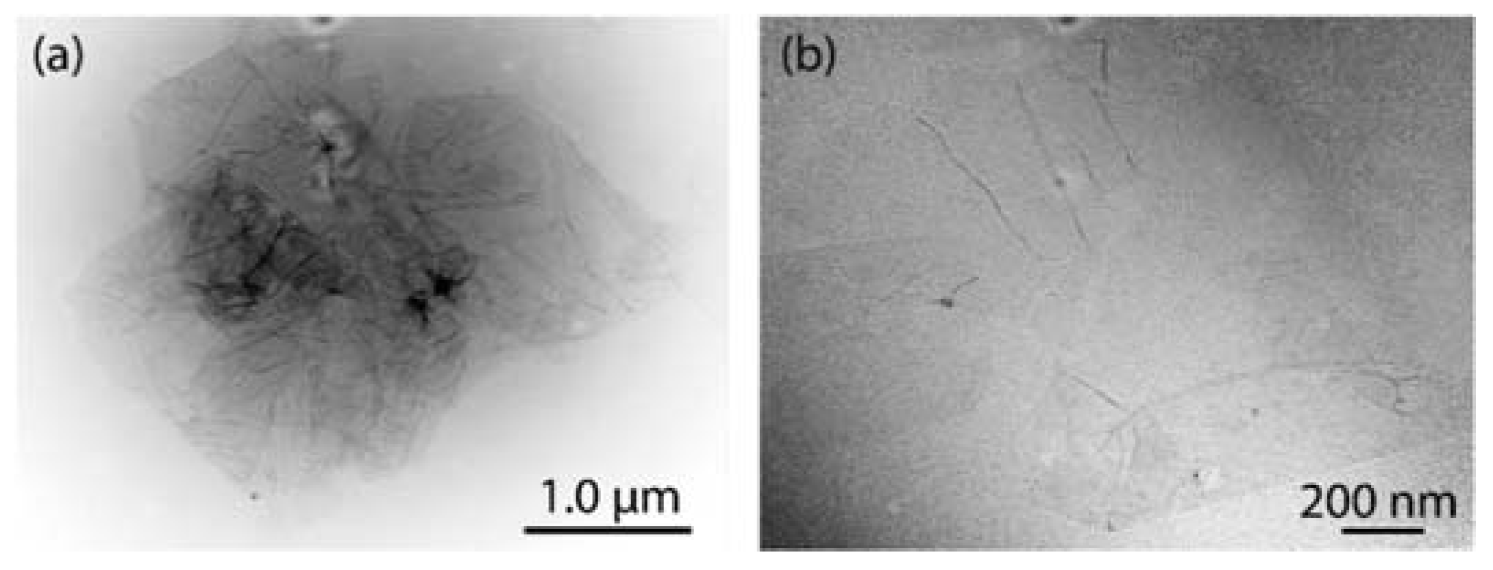 Coatings 12 01154 g002