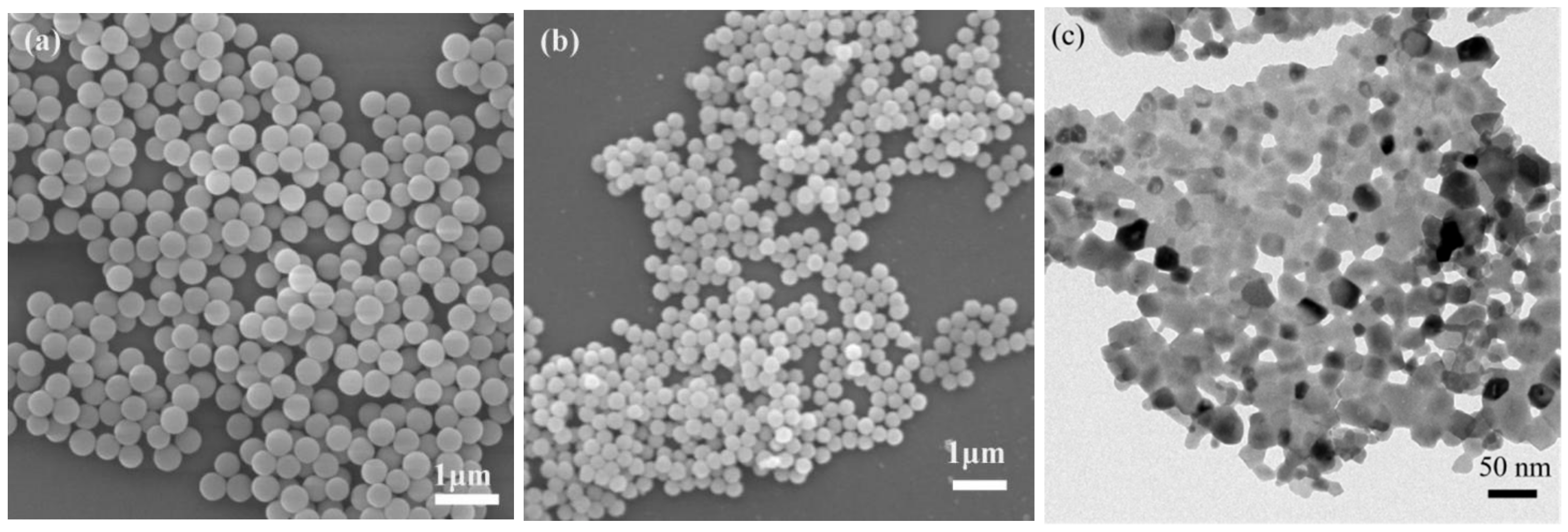 Coatings 12 01155 g001