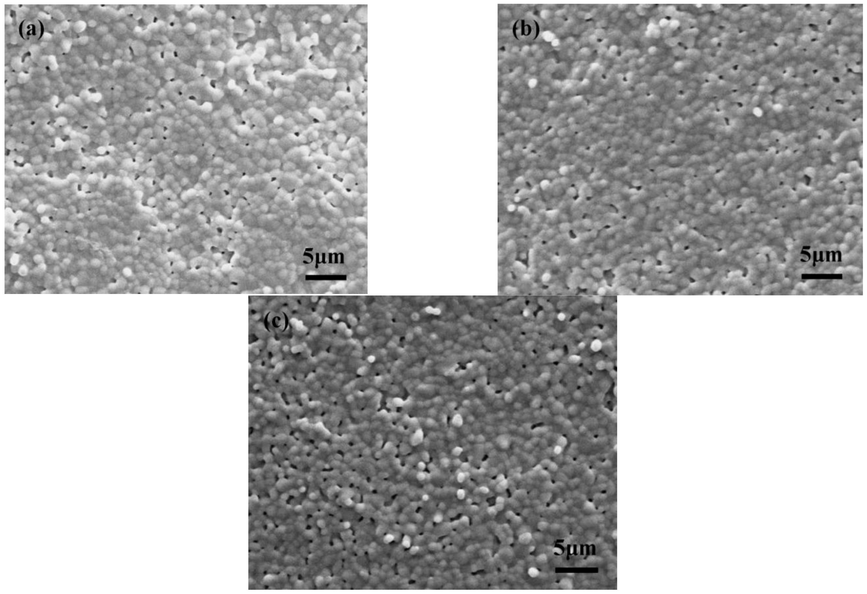 Coatings 12 01155 g005