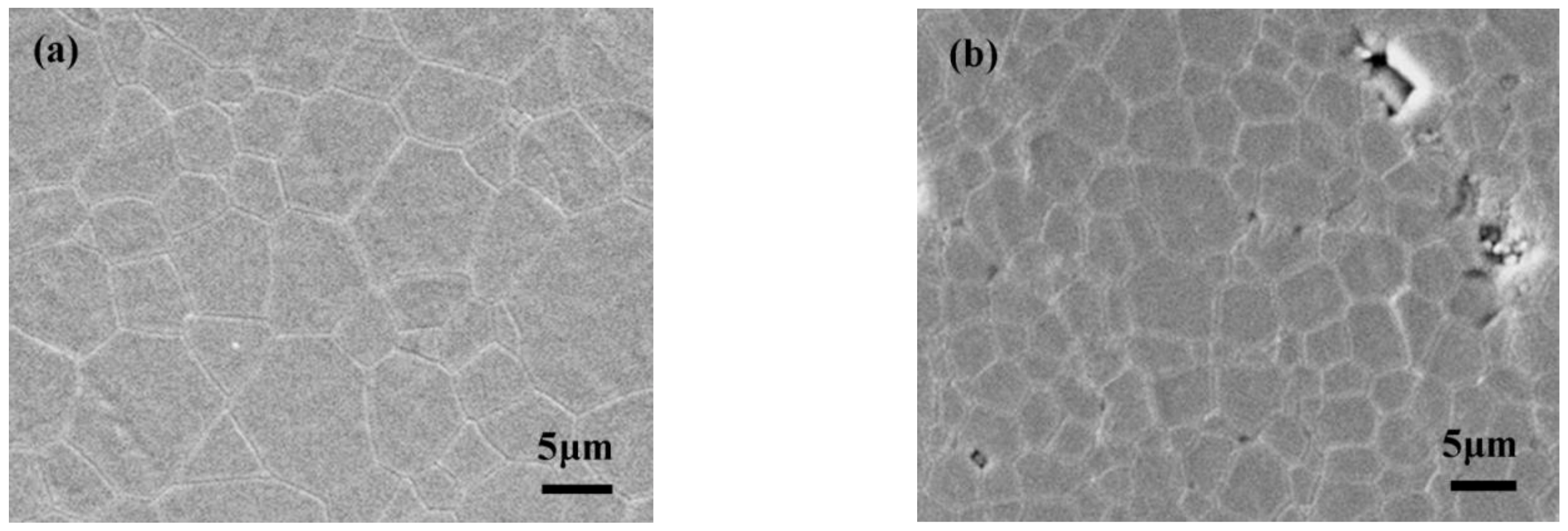 Coatings 12 01155 g012