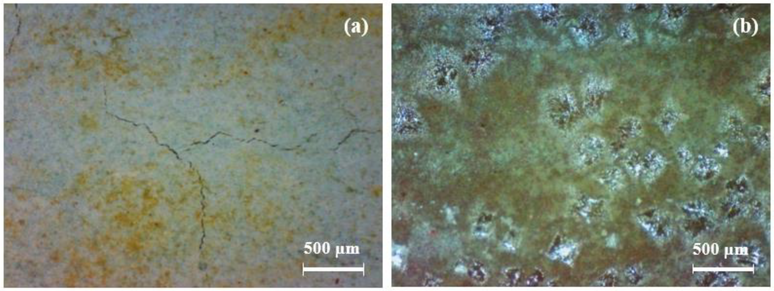 Coatings 12 01156 g002