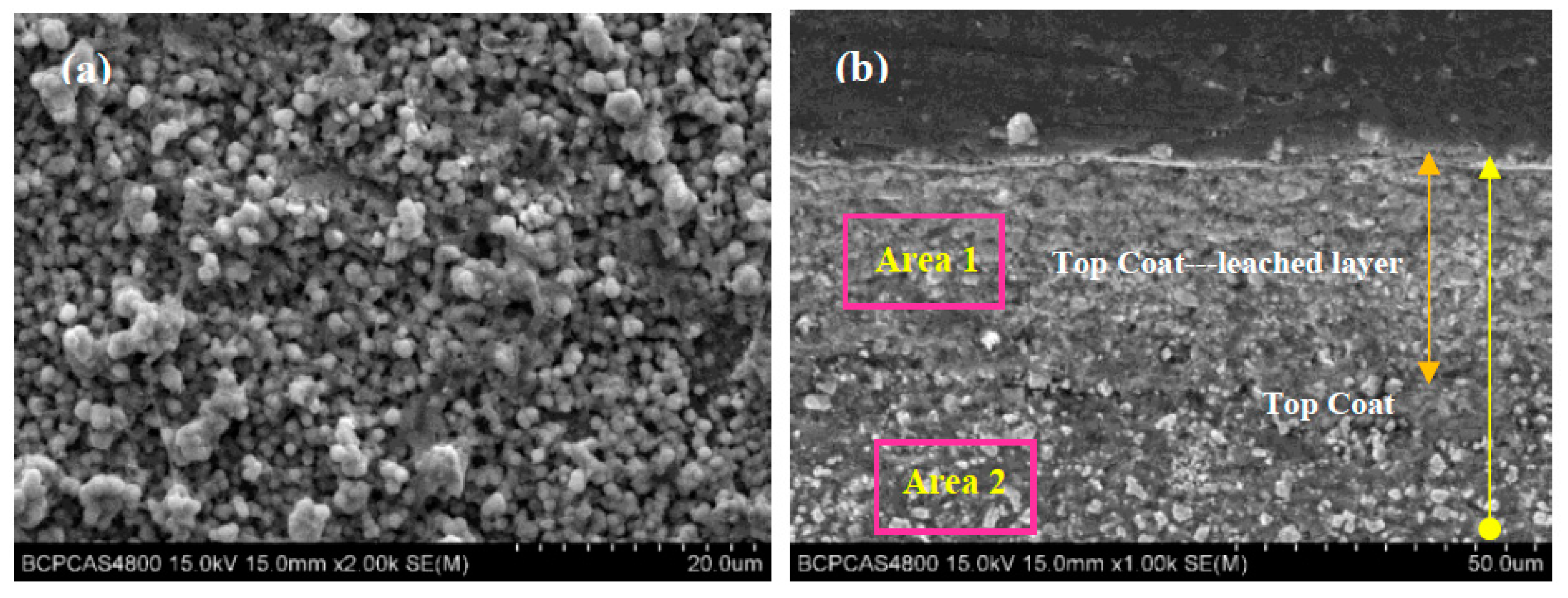 Coatings 12 01156 g006