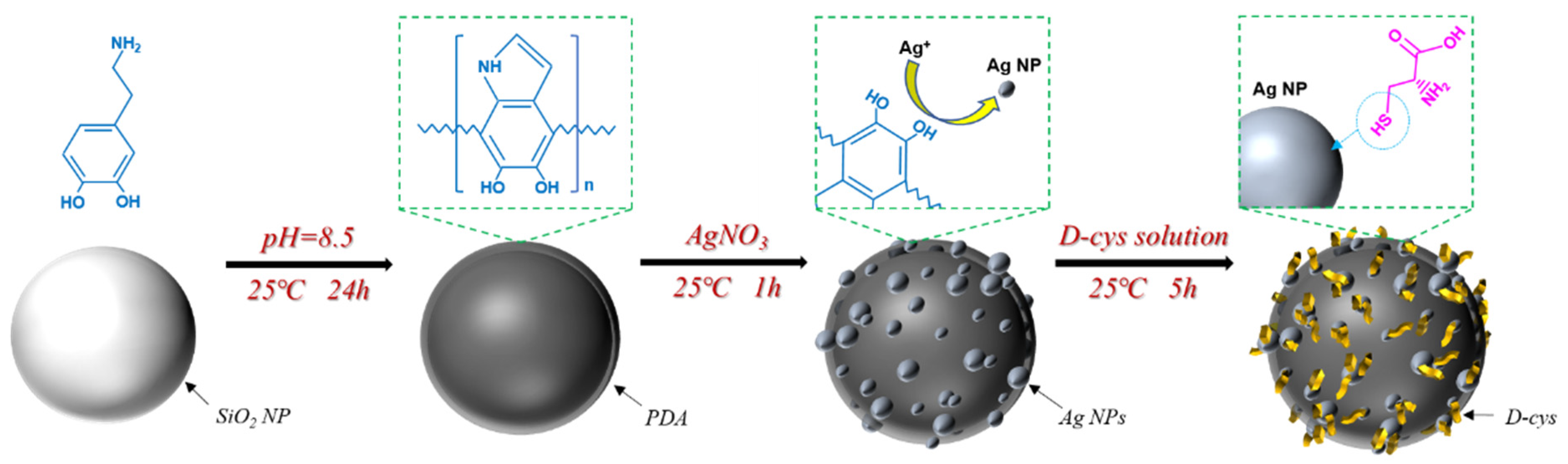 Coatings 12 01158 g001