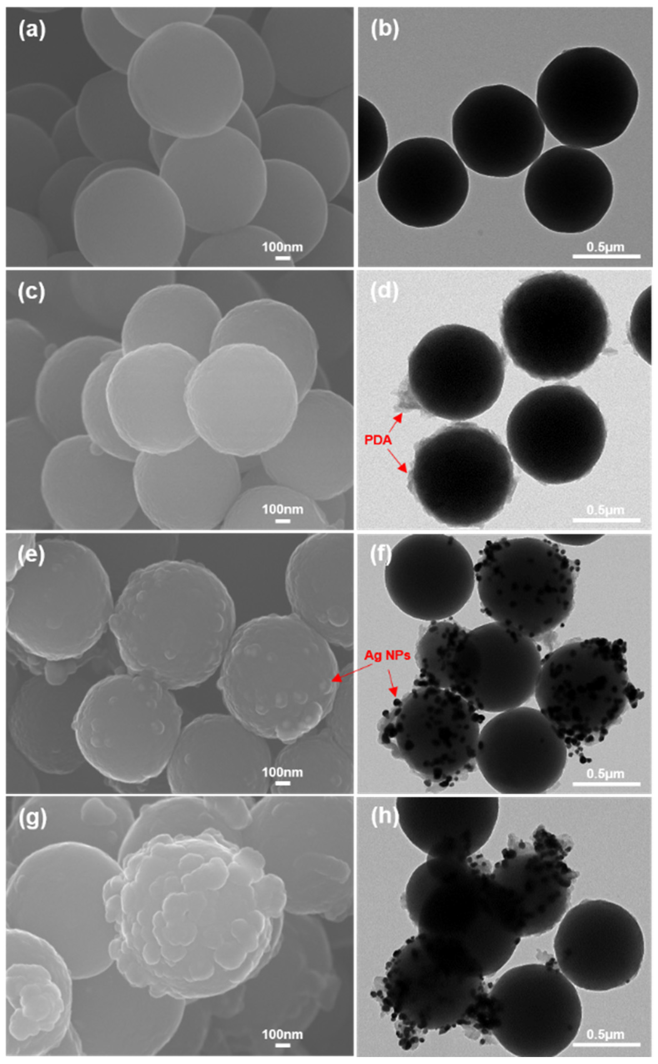 Coatings 12 01158 g003