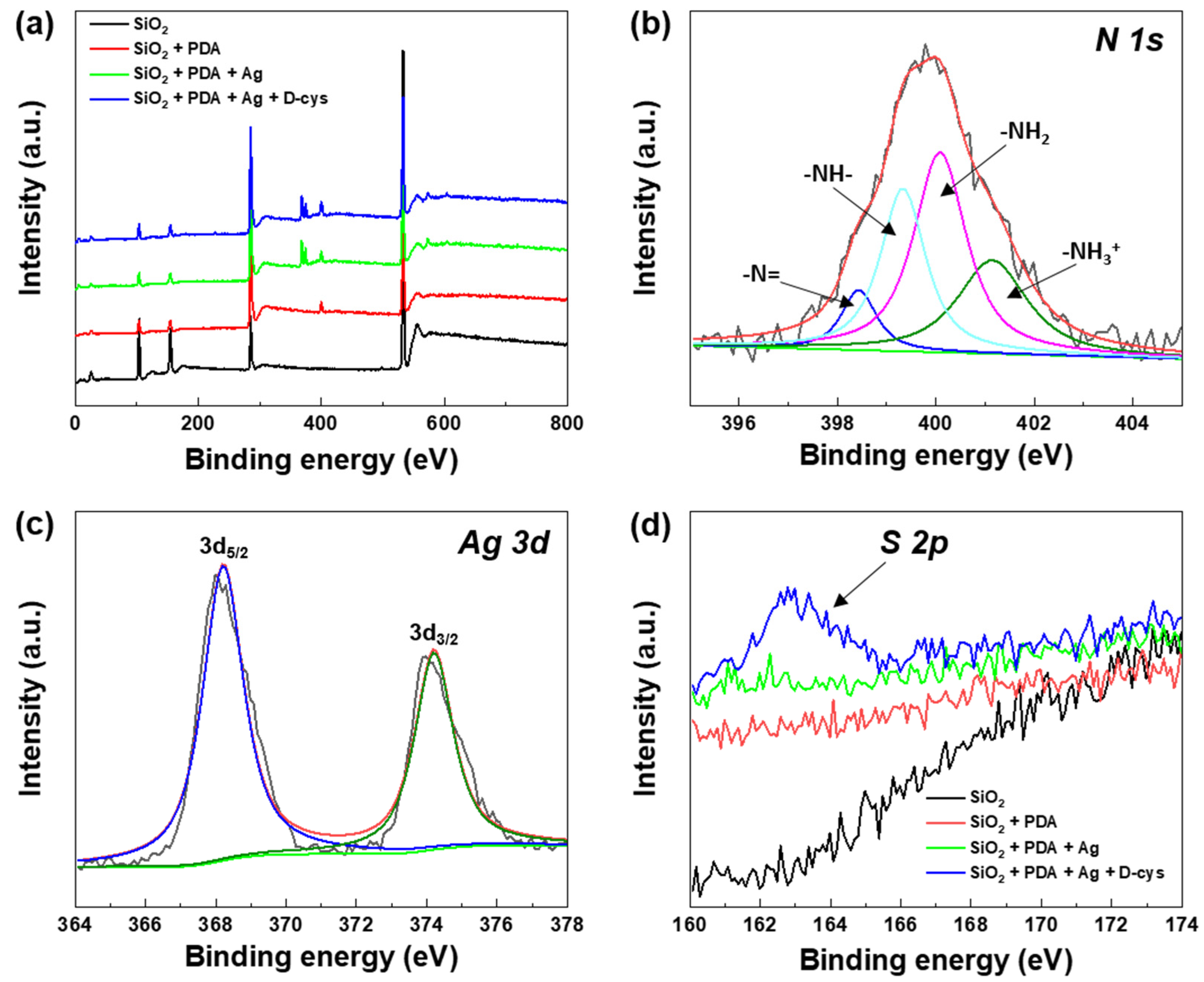 Coatings 12 01158 g004