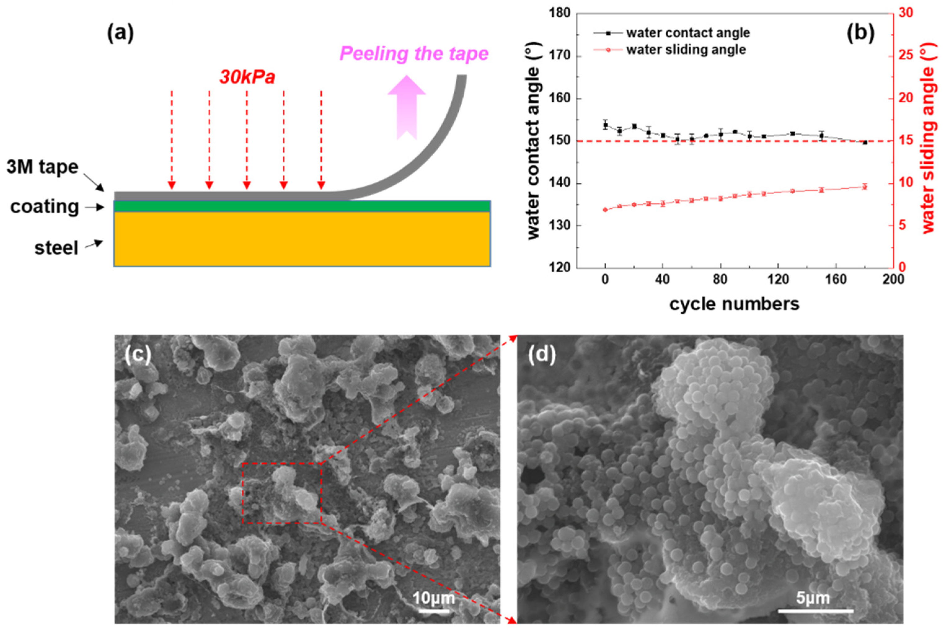 Coatings 12 01158 g007