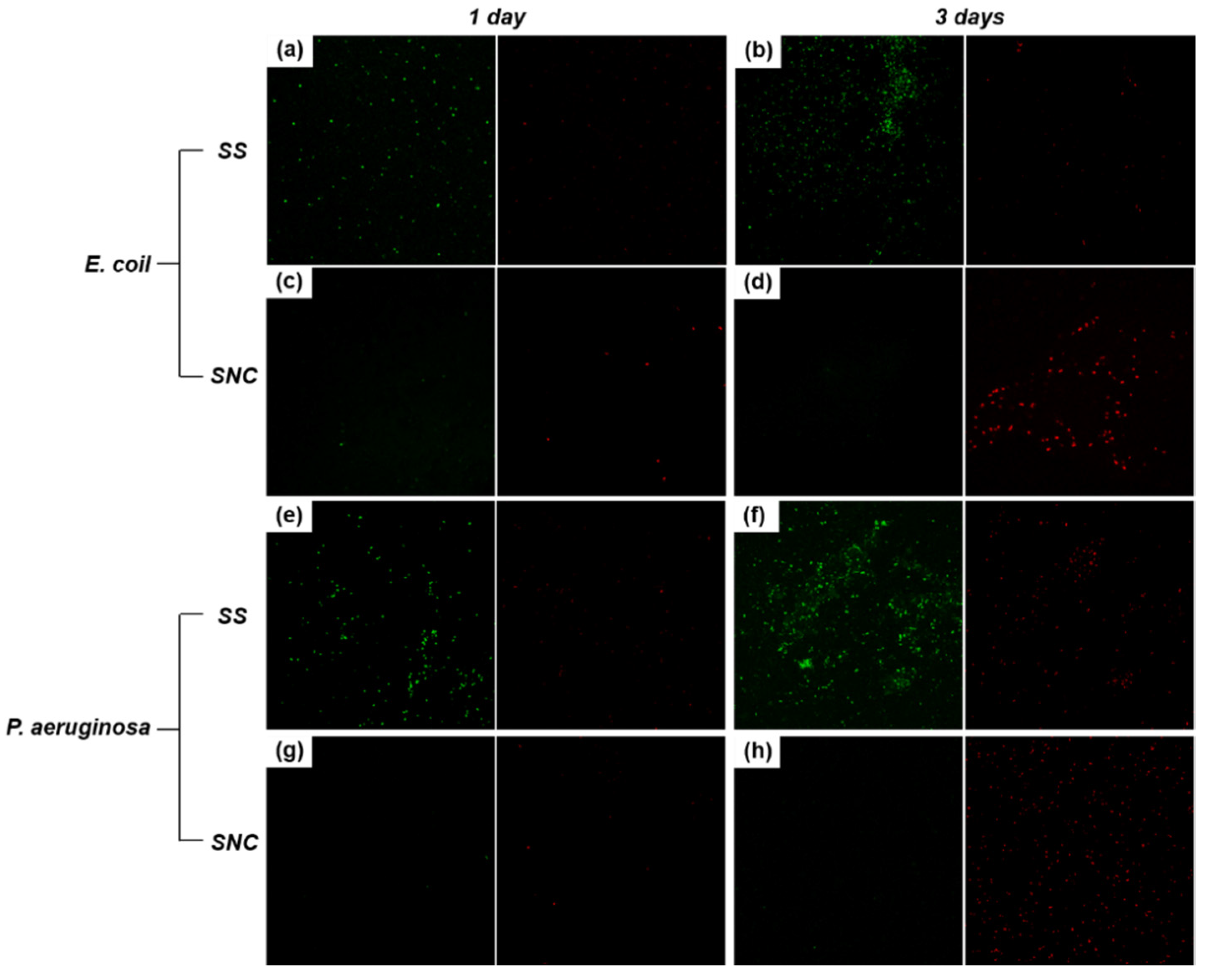 Coatings 12 01158 g009