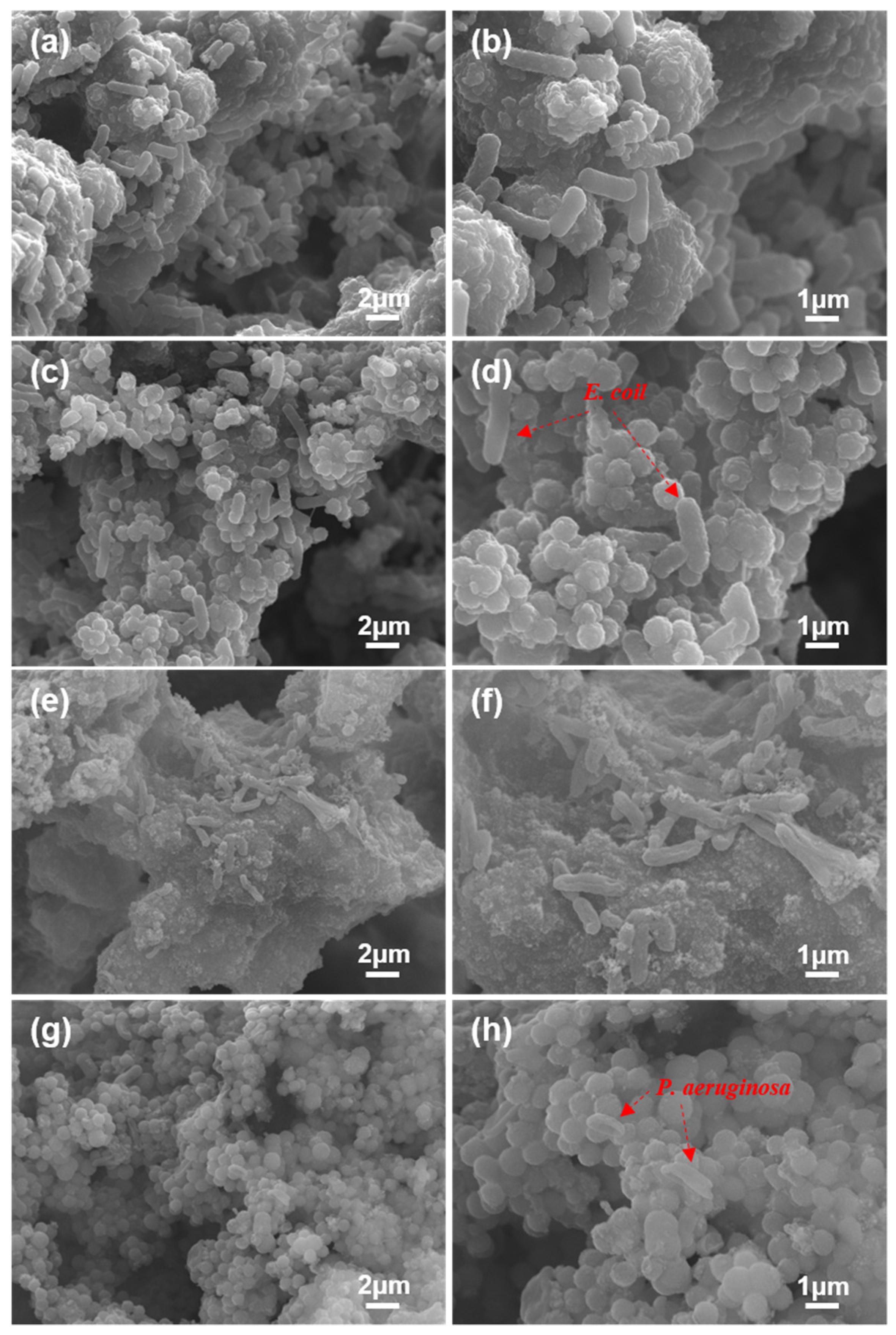 Coatings 12 01158 g011