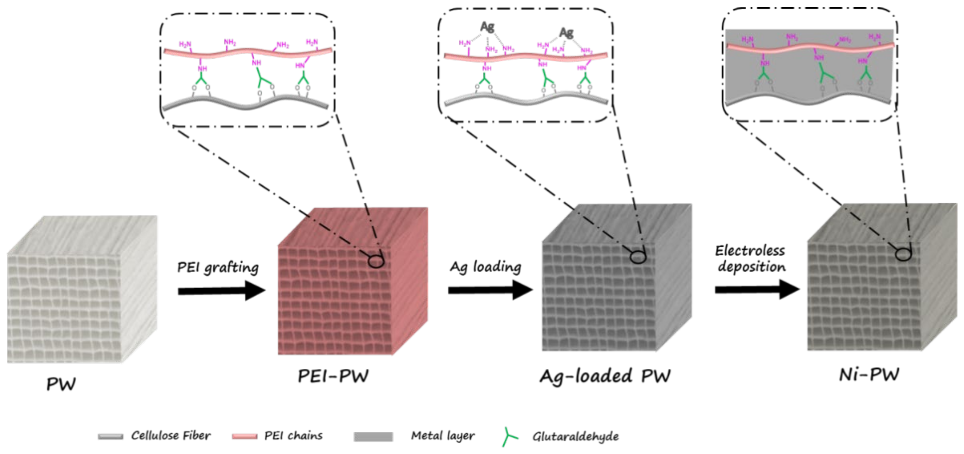 Coatings 12 01161 g001