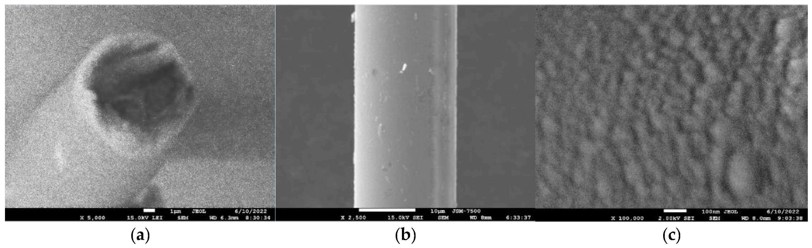 Coatings 12 01173 g003 Coatings 12 01173 g003